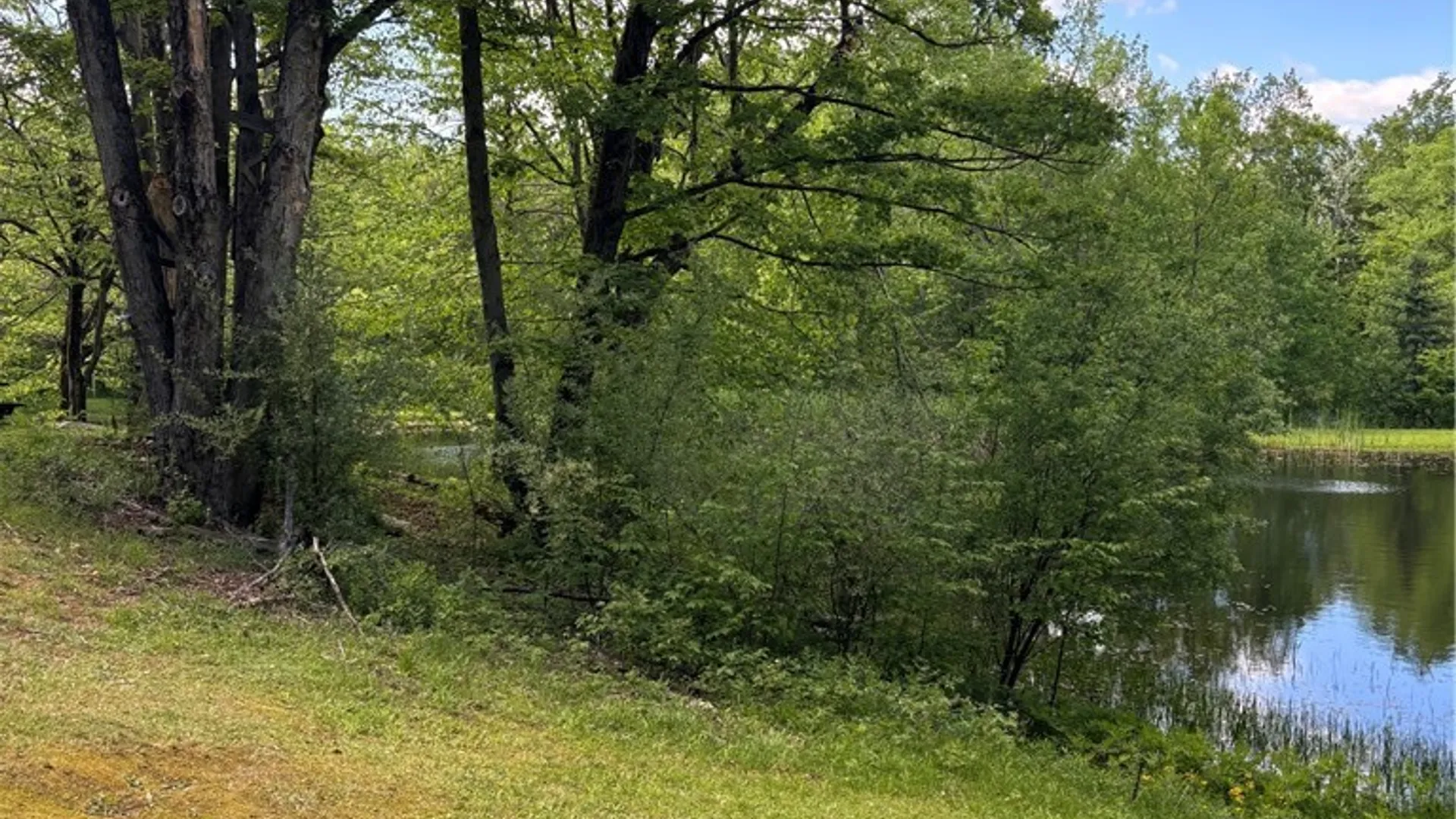 Property at 10147 Savage Road, Sardinia, NY 14080 19