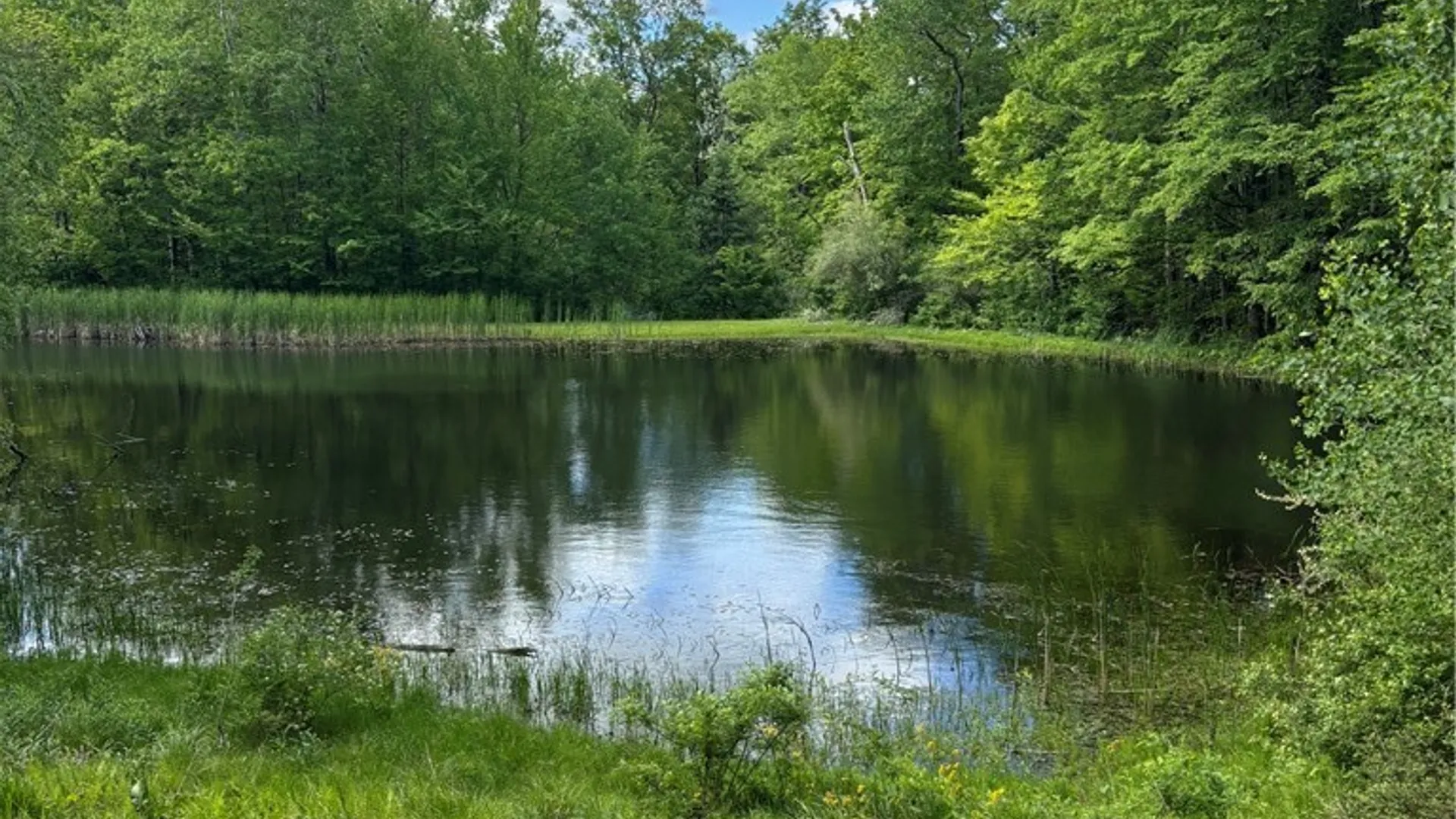 Property at 10147 Savage Road, Sardinia, NY 14080 21