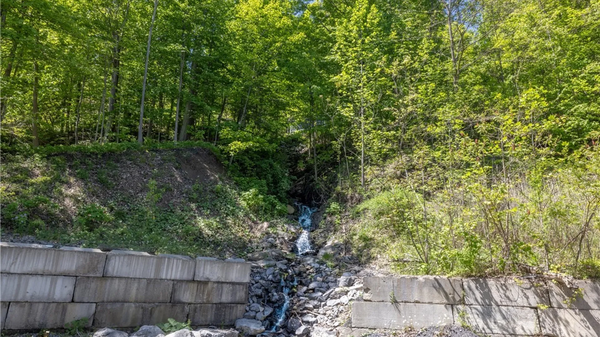 Property at 433 Rt-38 Fire Lane #19, Scipio, NY 13118 13