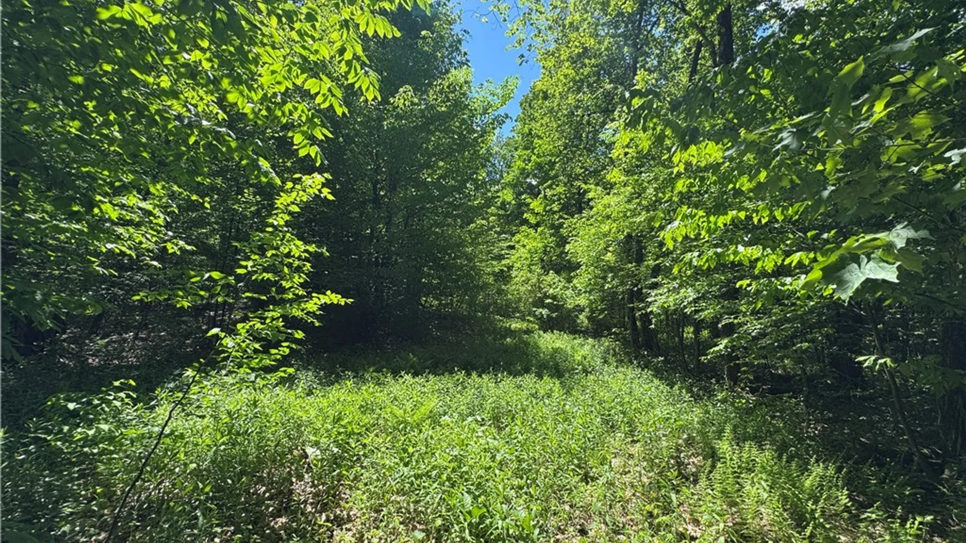 Property at 98 Wooliver Road, Orwell, NY 13144 8