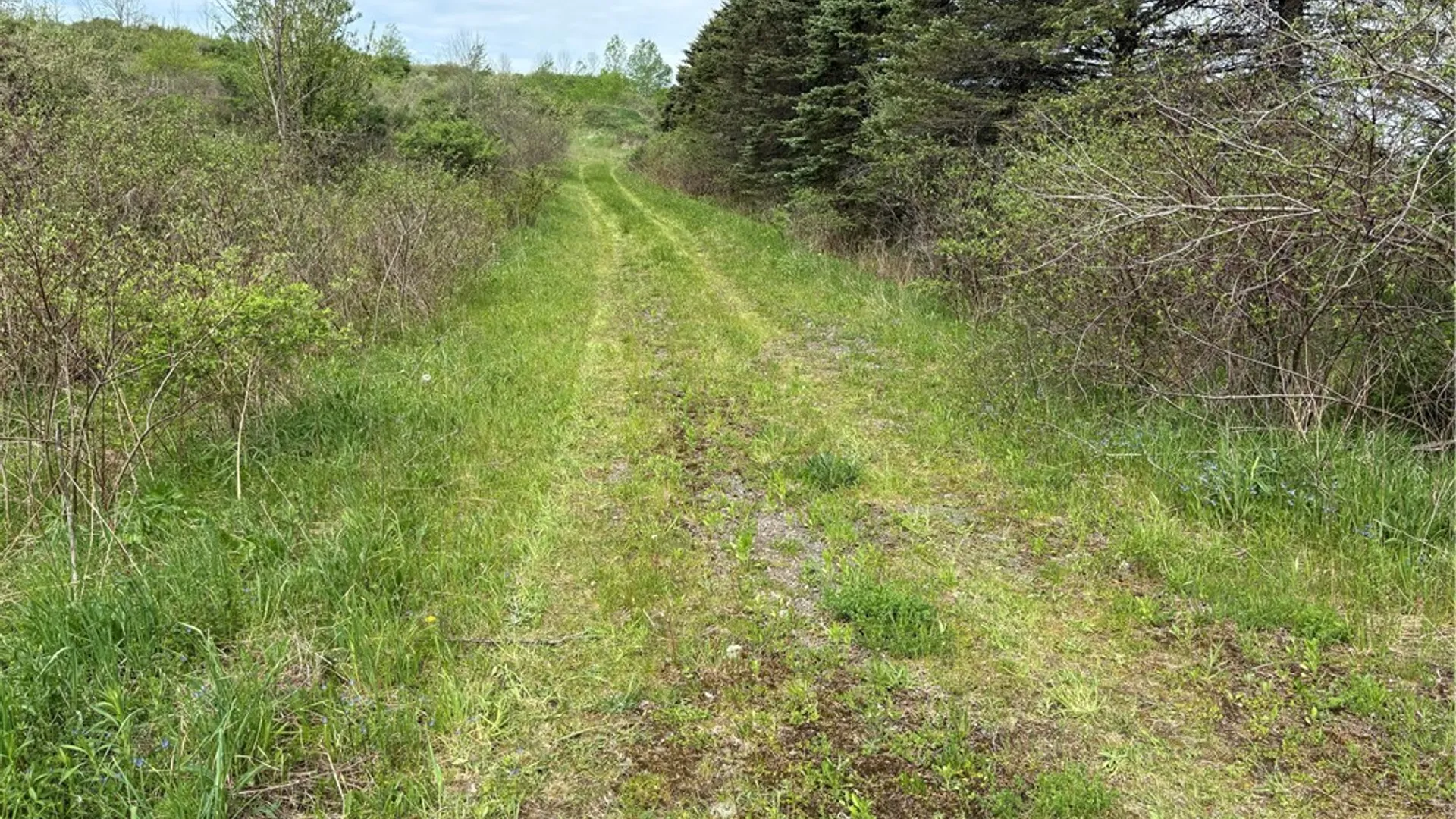 Property at L 18 & 19 County Road 36, Guilford, NY 13780 9