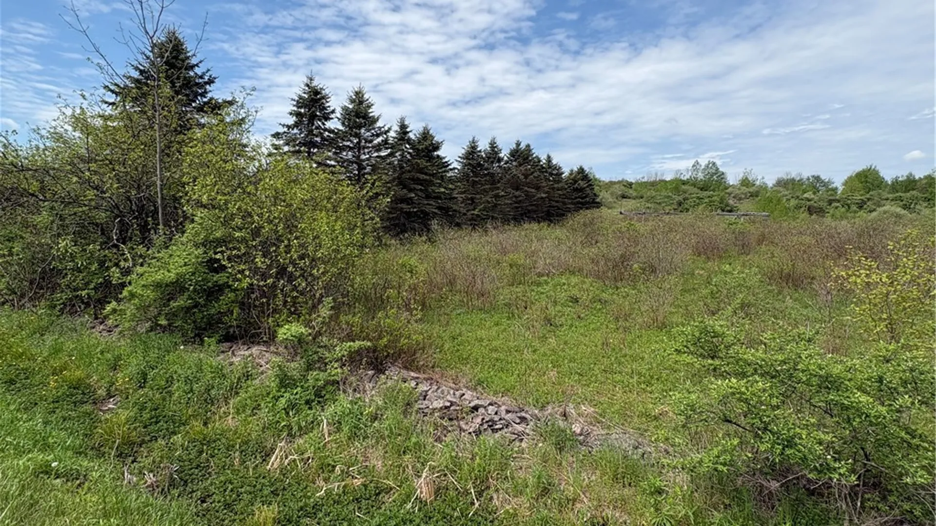 Property at L 18 & 19 County Road 36, Guilford, NY 13780 11
