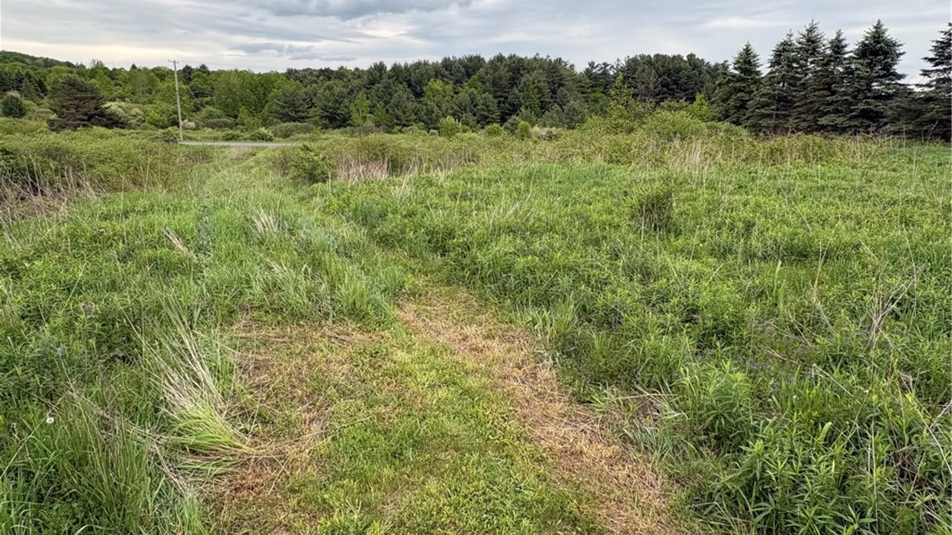 Property at L 18 & 19 County Road 36, Guilford, NY 13780 28