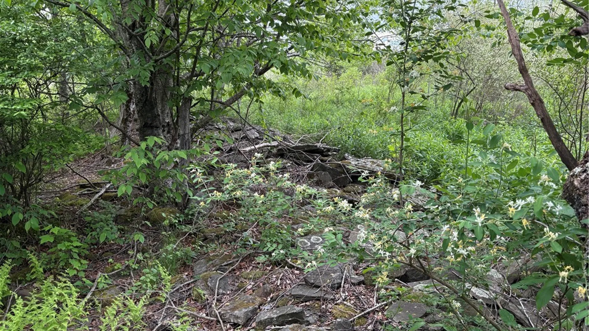 Property at L 18 & 19 County Road 36, Guilford, NY 13780 30