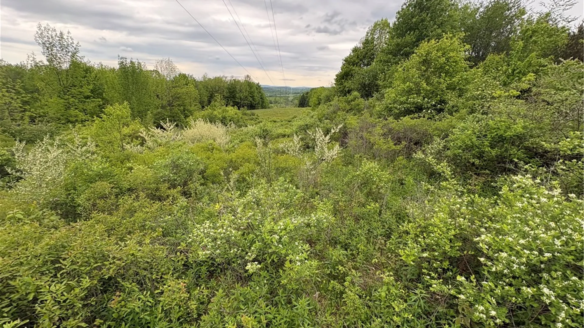 Property at L 18 & 19 County Road 36, Guilford, NY 13780 33