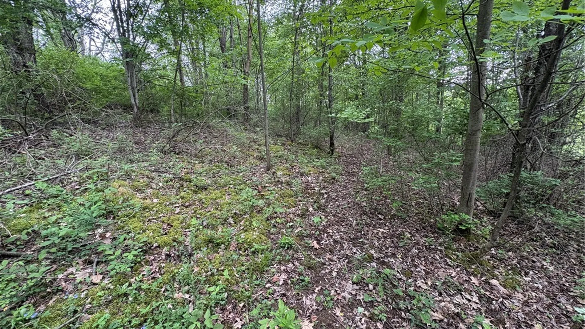 Property at L 18 & 19 County Road 36, Guilford, NY 13780 34