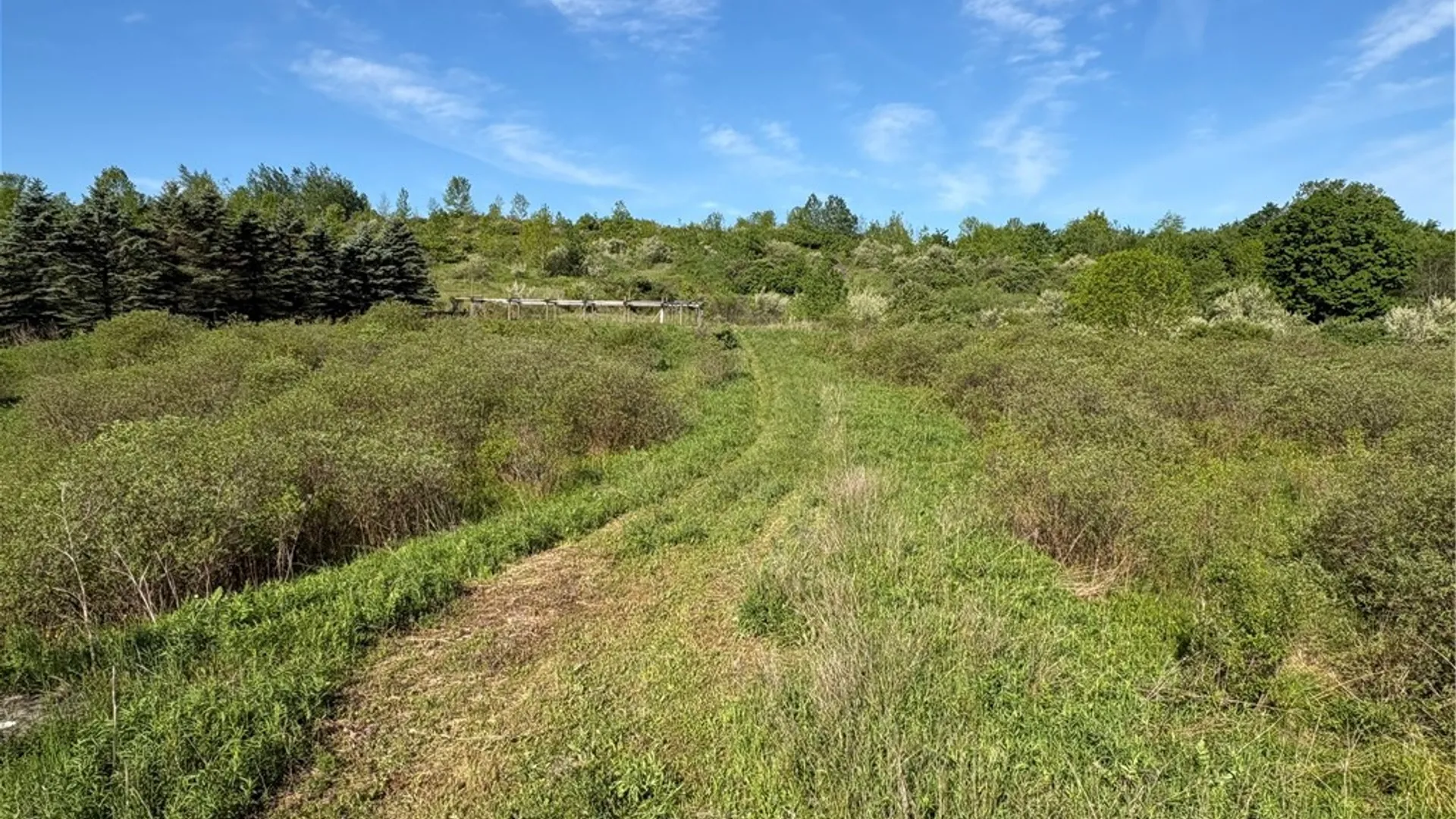 Property at L 18 & 19 County Road 36, Guilford, NY 13780 7