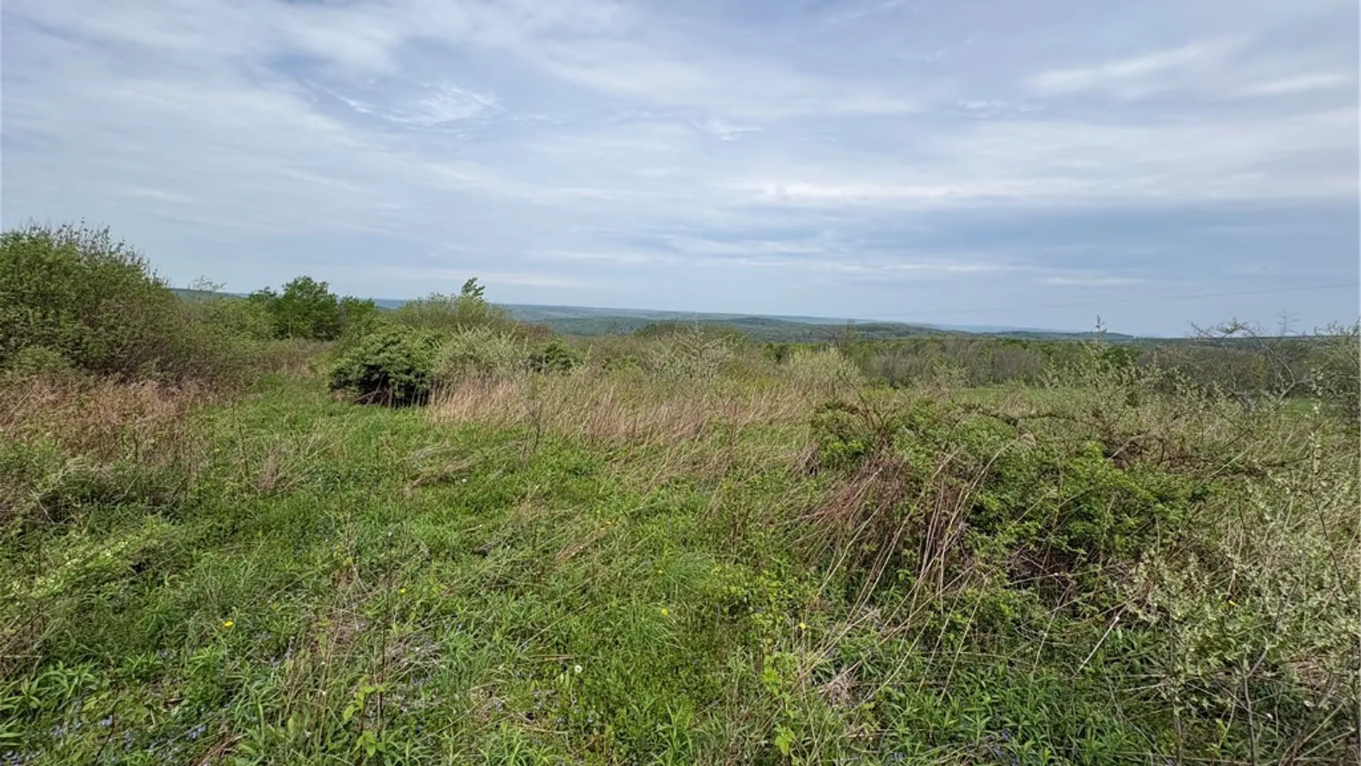 Property at Wahlberg Road, Guilford, NY 13780 13