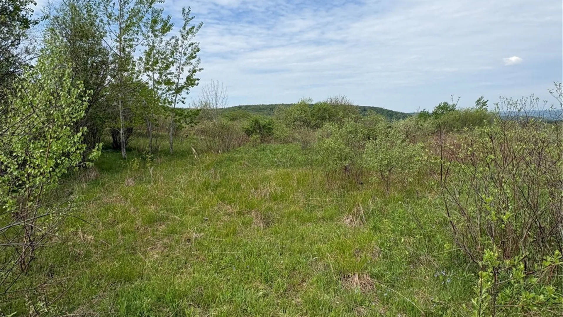 Property at Wahlberg Road, Guilford, NY 13780 16