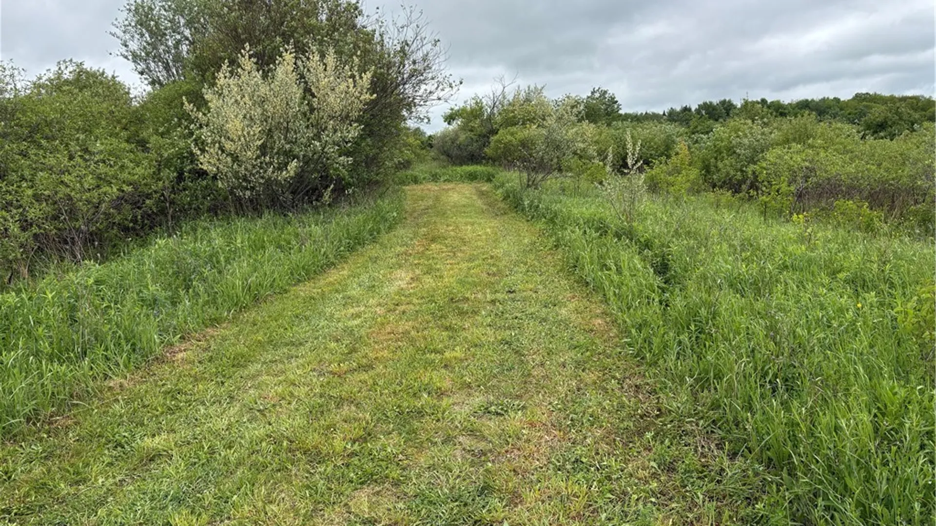 Property at Wahlberg Road, Guilford, NY 13780 6