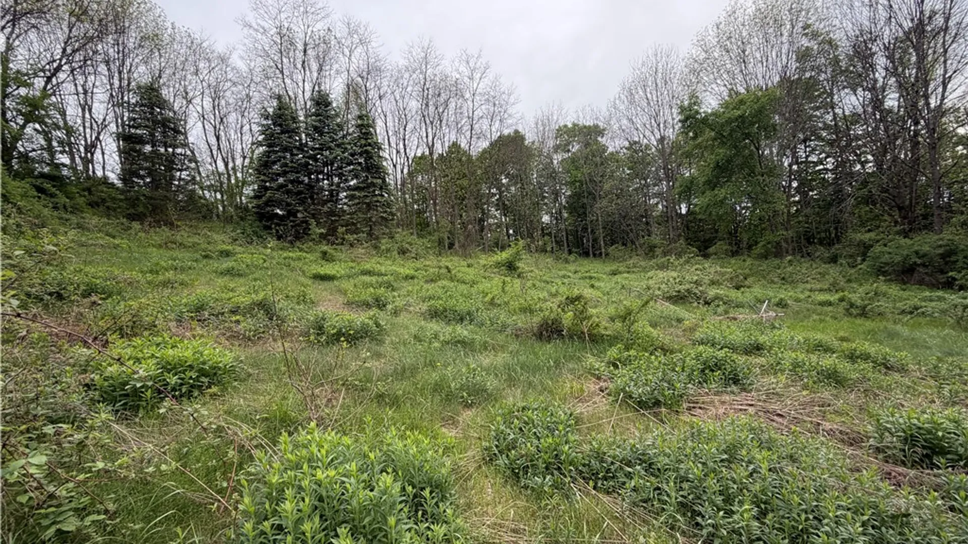Property at 473 County Highway 48, Otego, NY 13820 41