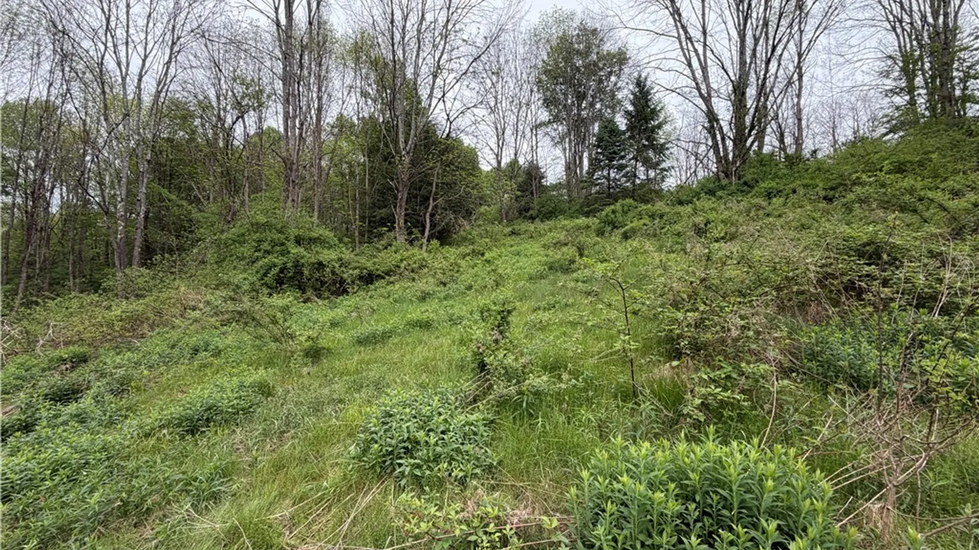 Property at 473 County Highway 48, Otego, NY 13820 42