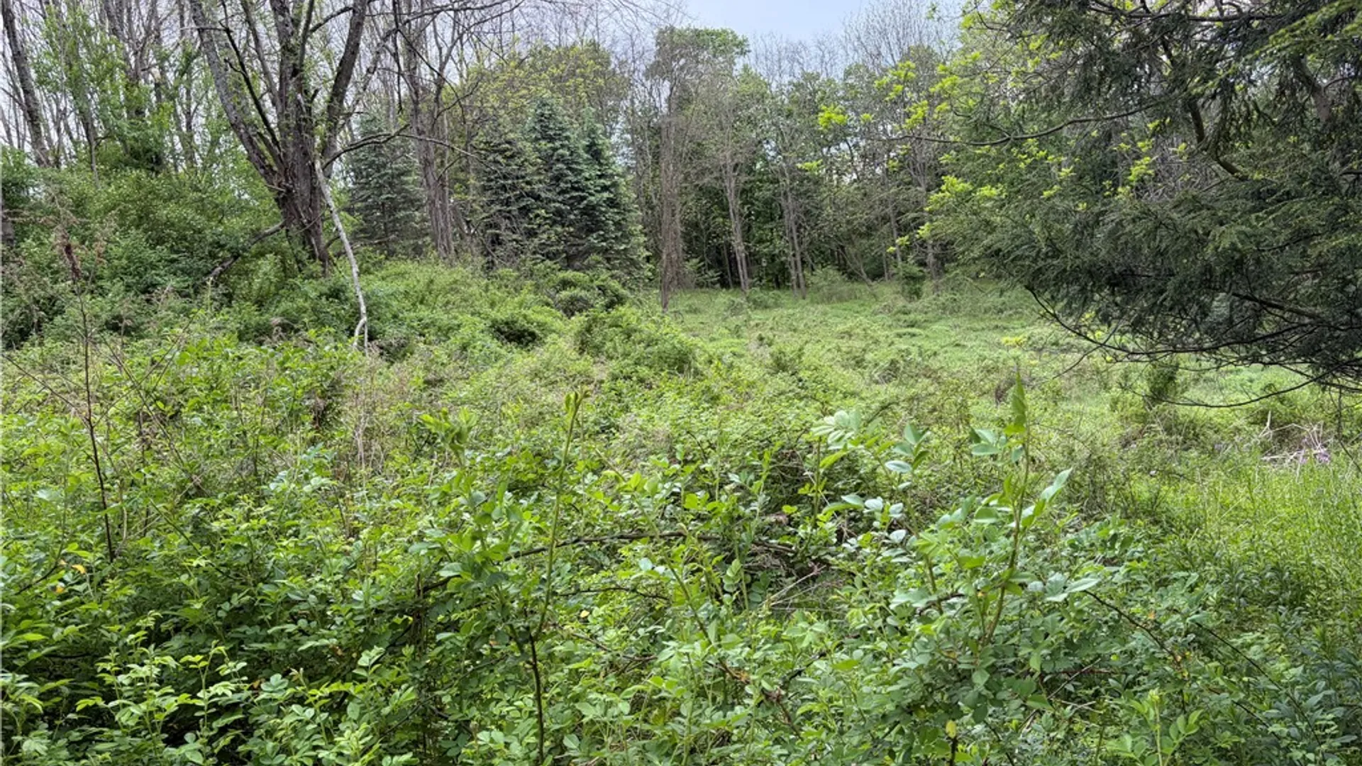 Property at 473 County Highway 48, Otego, NY 13820 44