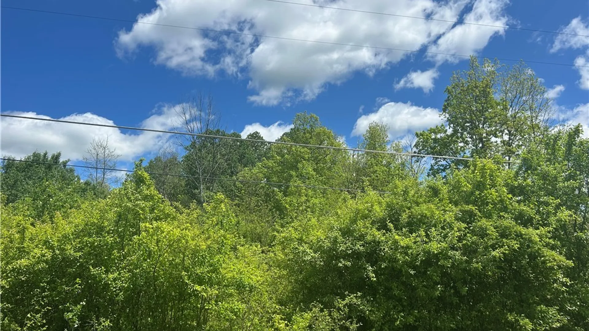 Property at Belleview Road, Ellery, NY 14712 4