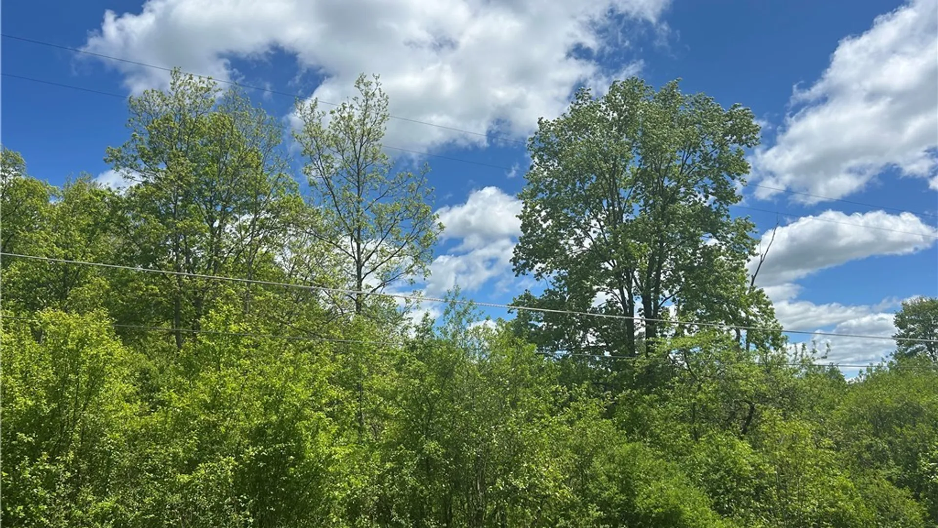 Property at Belleview Road, Ellery, NY 14712 5