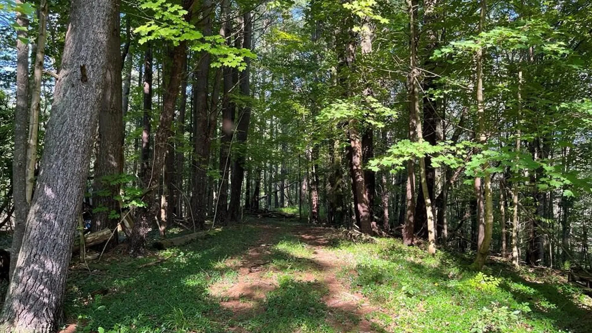 Property at 287 Breesport N Chemung Road, Baldwin, NY 14861 21