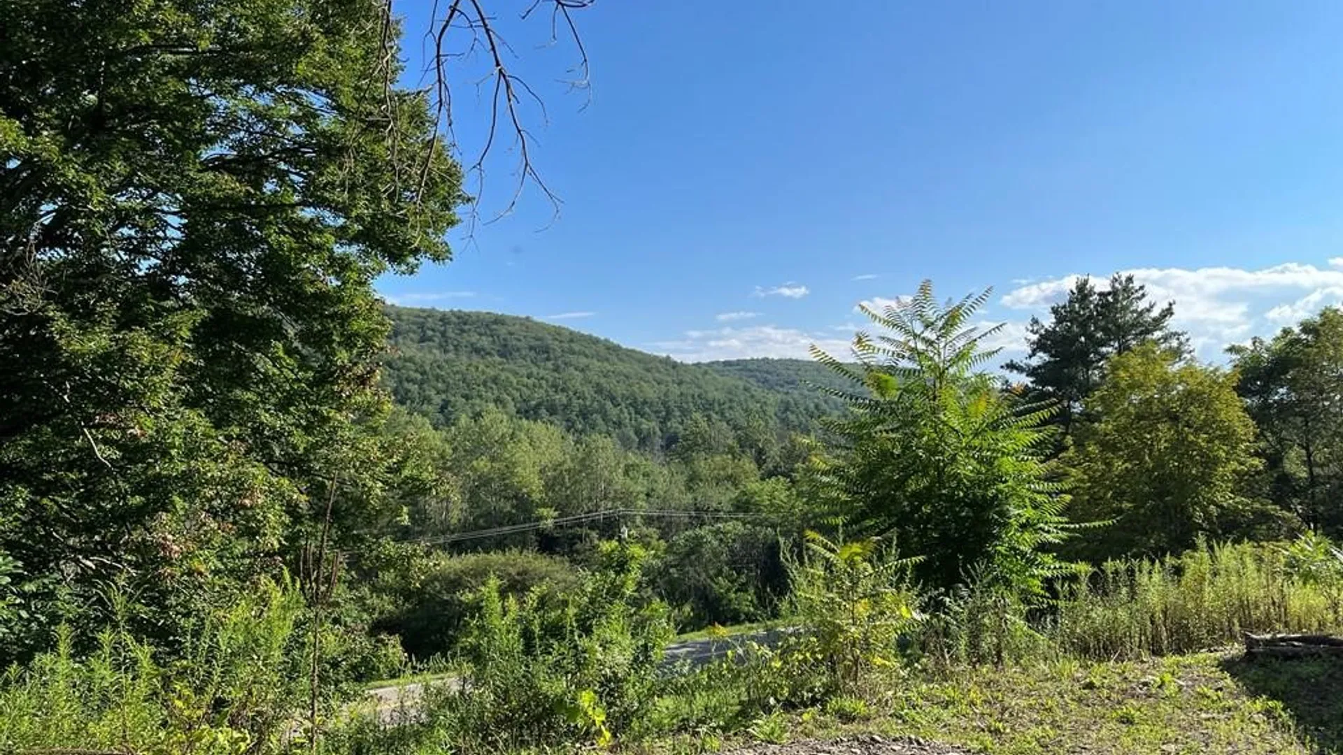 Property at 287 Breesport N Chemung Road, Baldwin, NY 14861 22