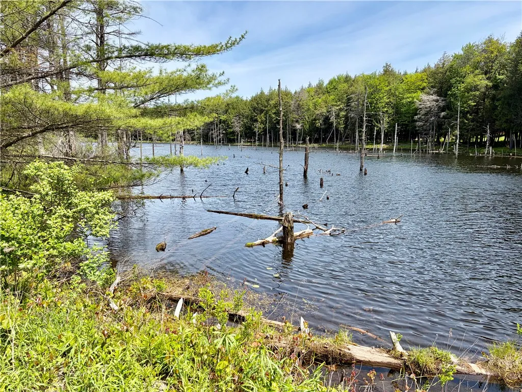 Property at 0 Maples Road, Hartwick, NY 13348