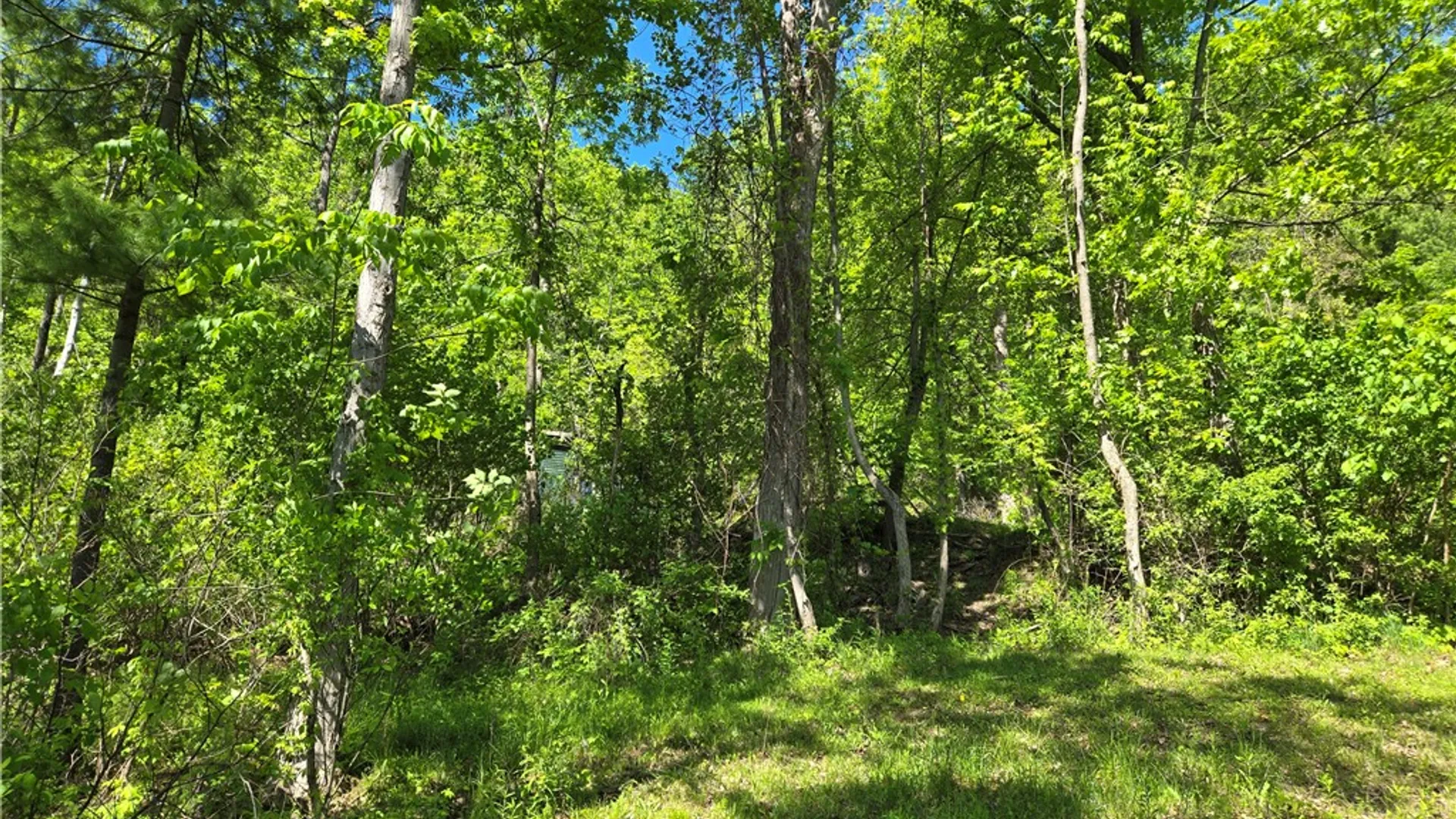 Property at 6340 County Road 36, Canadice, NY 14471 21