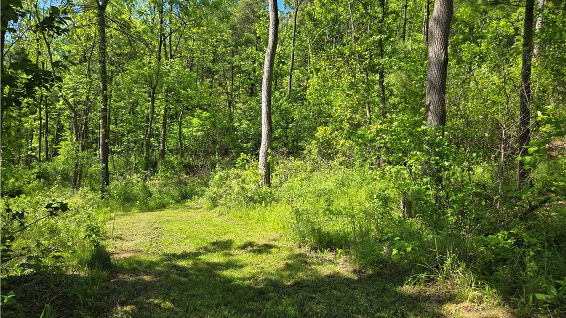 Property at 6340 County Road 36, Canadice, NY 14471 18