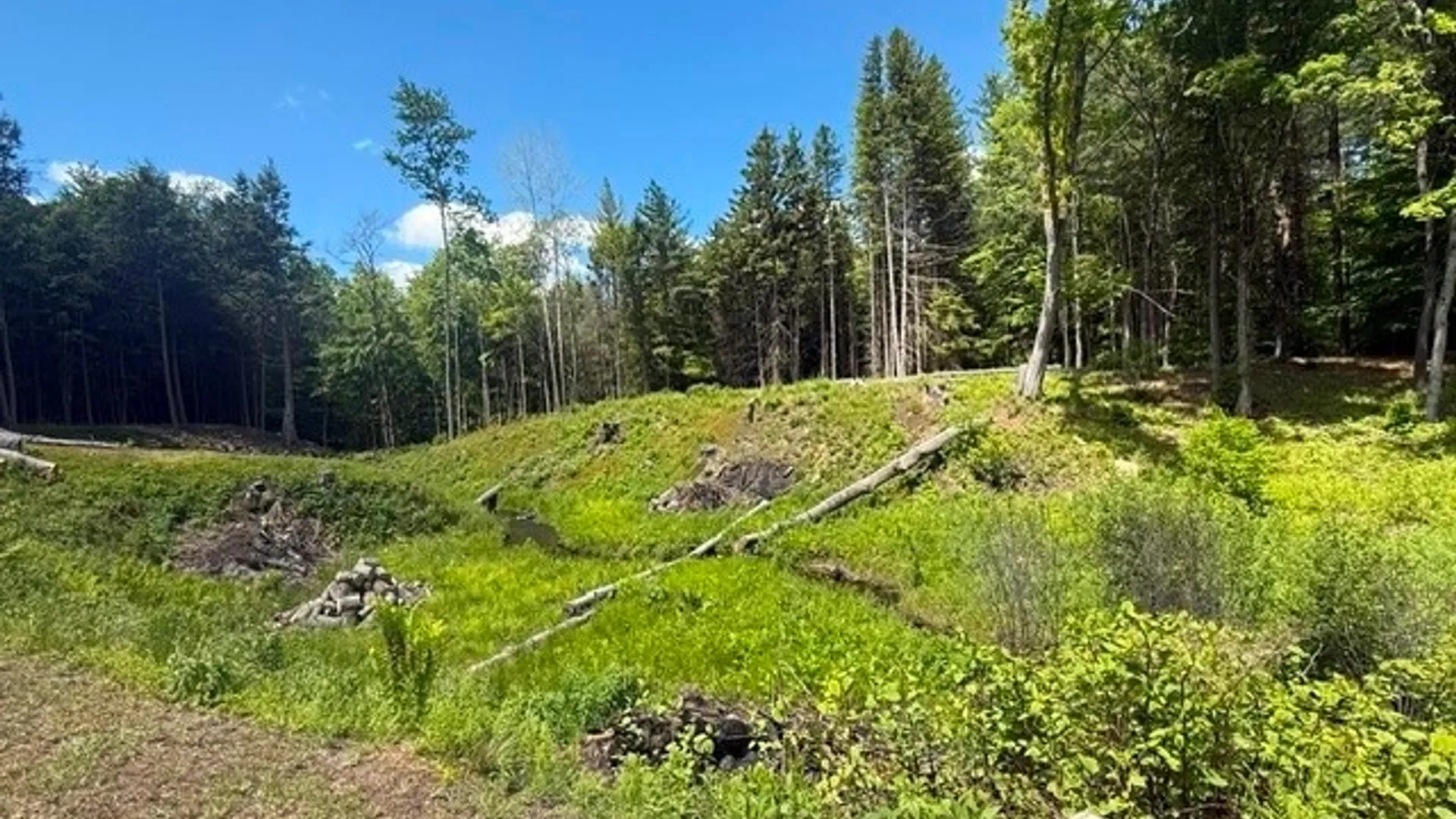 Property at 1055 Albion Cross Road, Albion, NY 13142 4