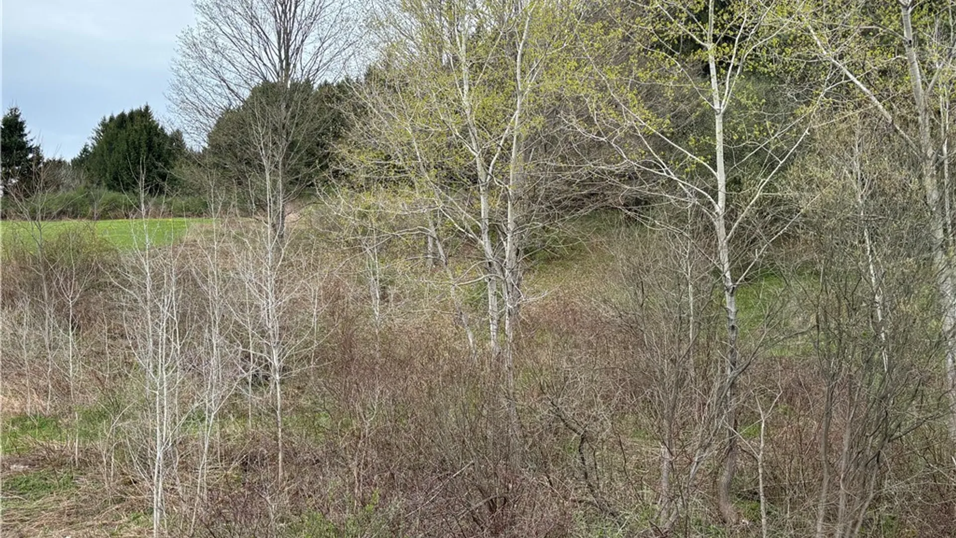 Property at 1344 US Highway 11, Marathon, NY 13803 46