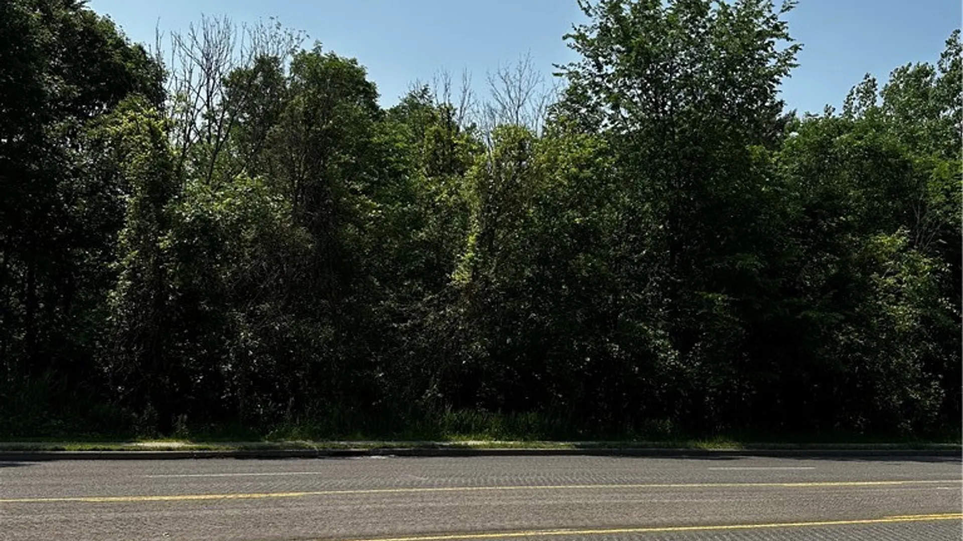 Property at 3350 Niagara Falls Boulevard, Amherst, NY 14228 3