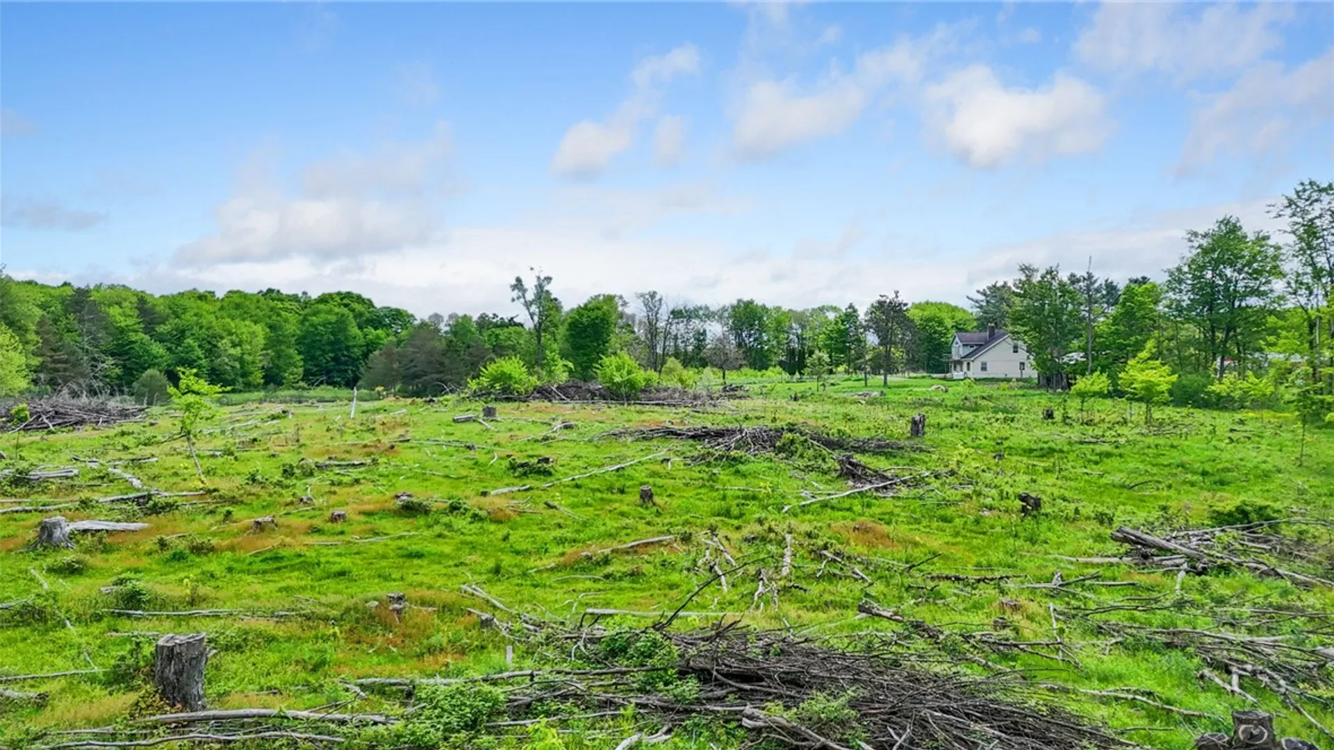 Property at 1467 Lick Street, Summerhill, NY 13118 12