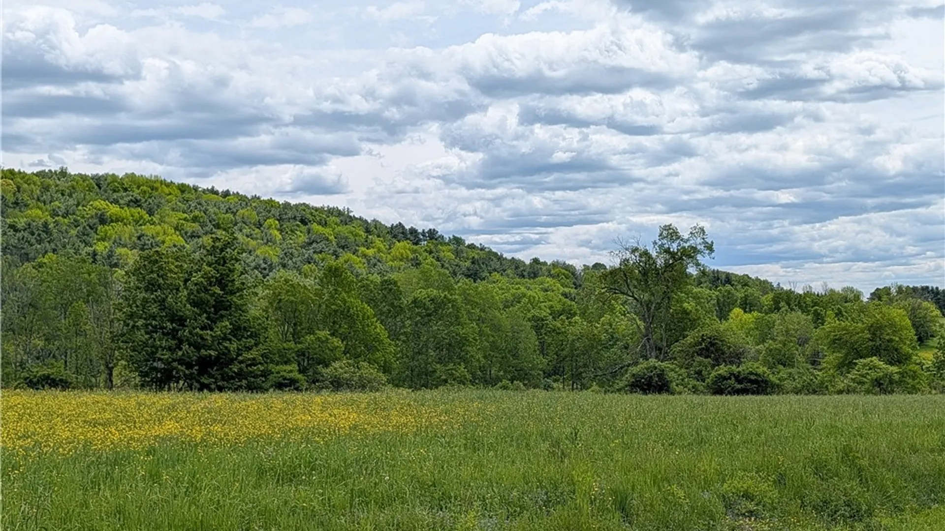 Property at 1438 County Highway 4, Butternuts, NY 13825 8