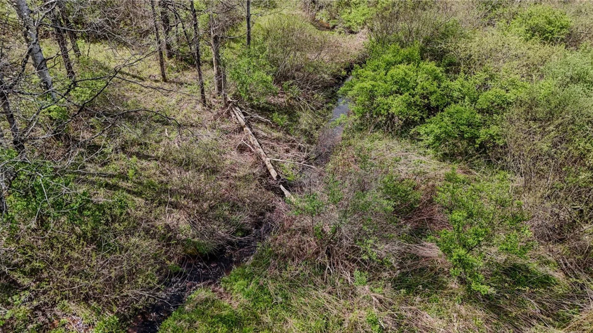 Property at 1438 County Highway 4, Butternuts, NY 13825 5