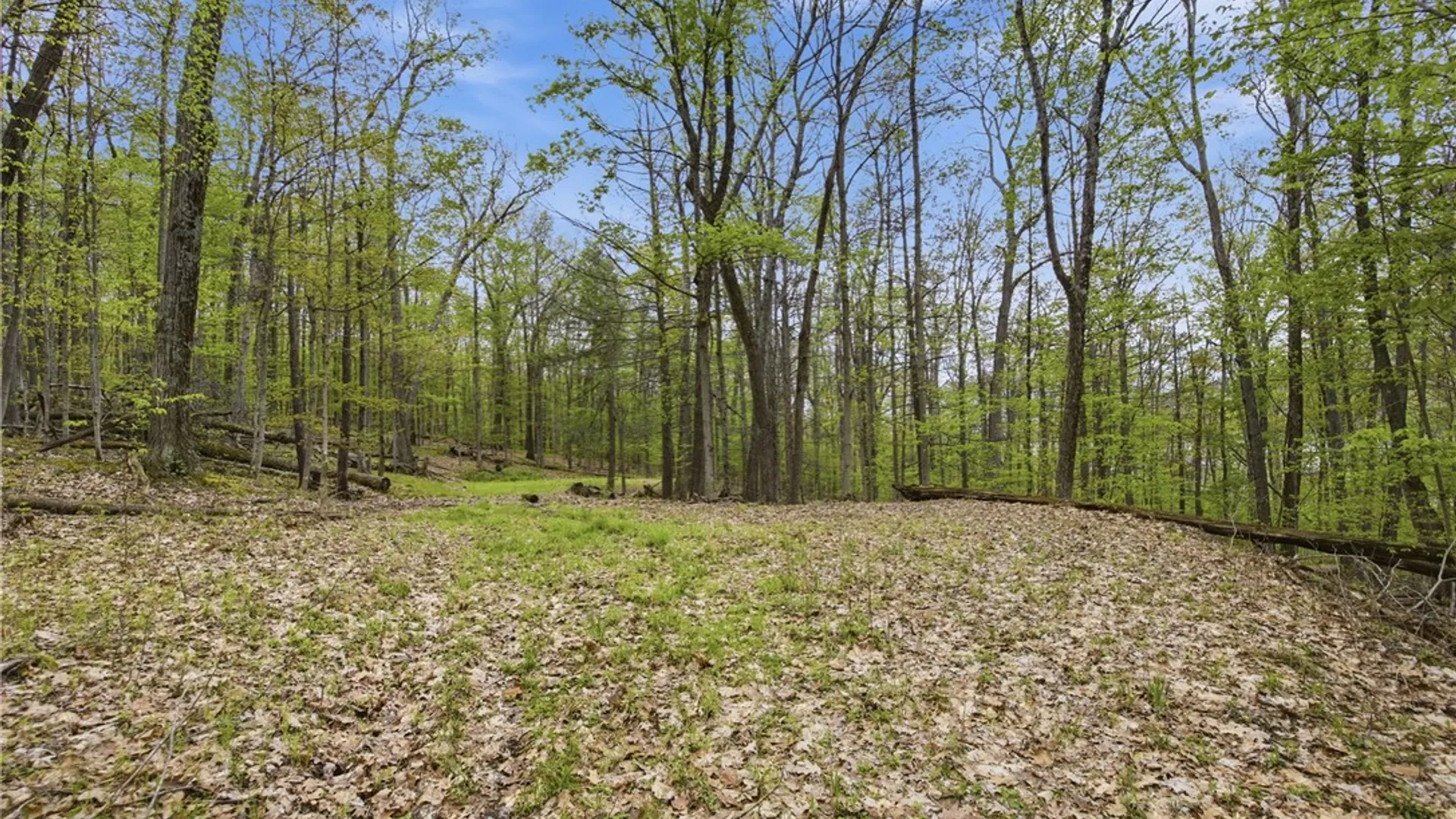 Property at Silvernail Road, Urbana, NY 14840 8
