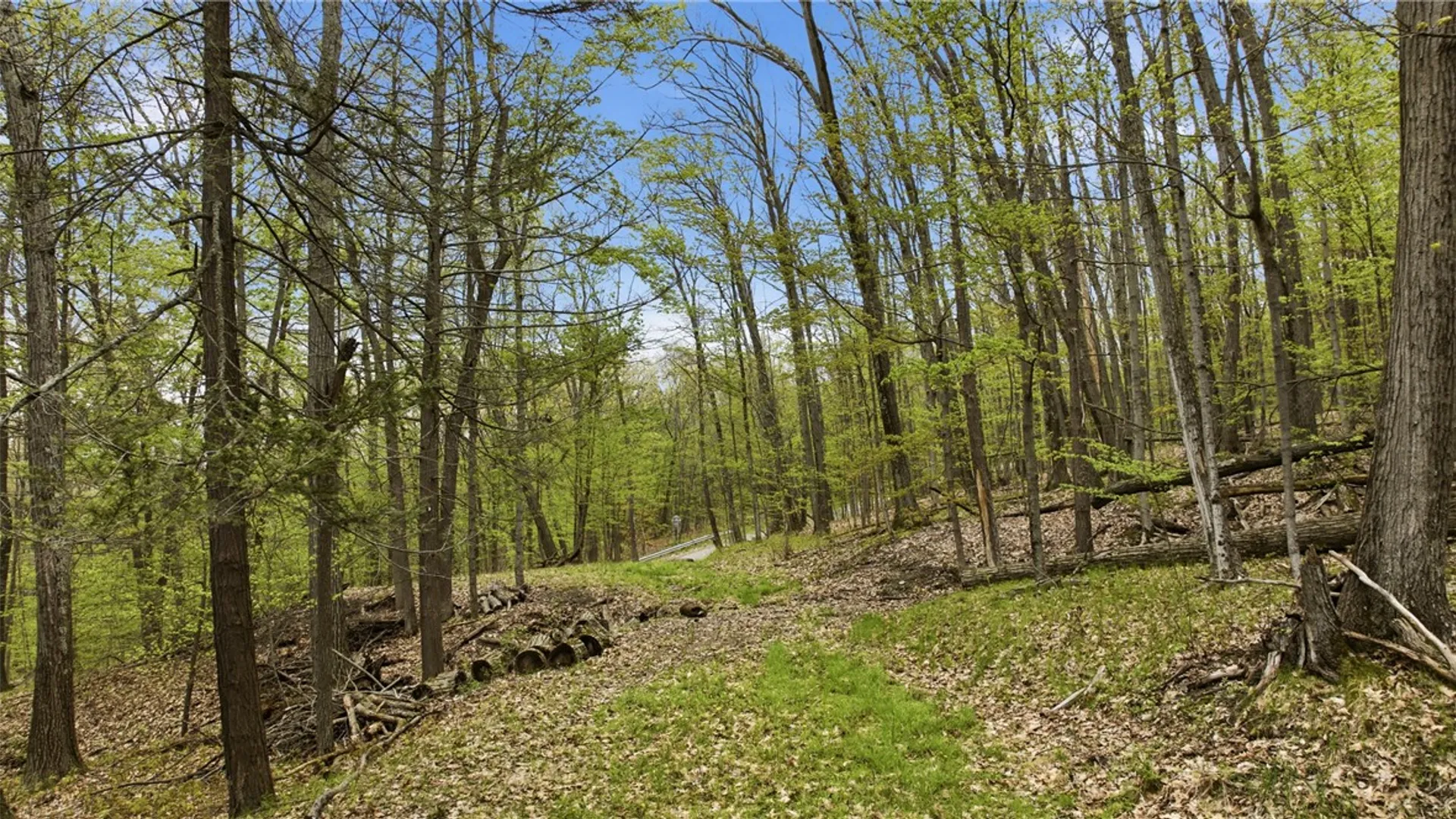 Property at Silvernail Road, Urbana, NY 14840 9