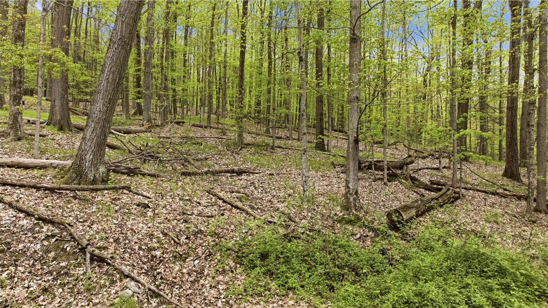 Property at Silvernail Road, Urbana, NY 14840 10