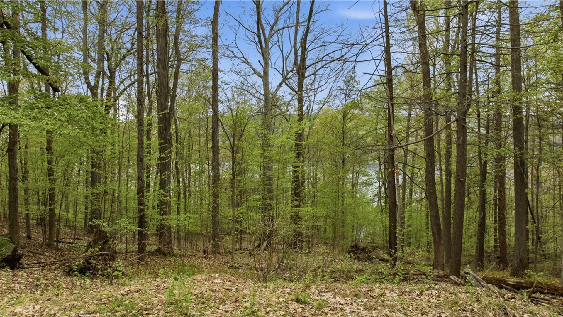 Property at Silvernail Road, Urbana, NY 14840 18
