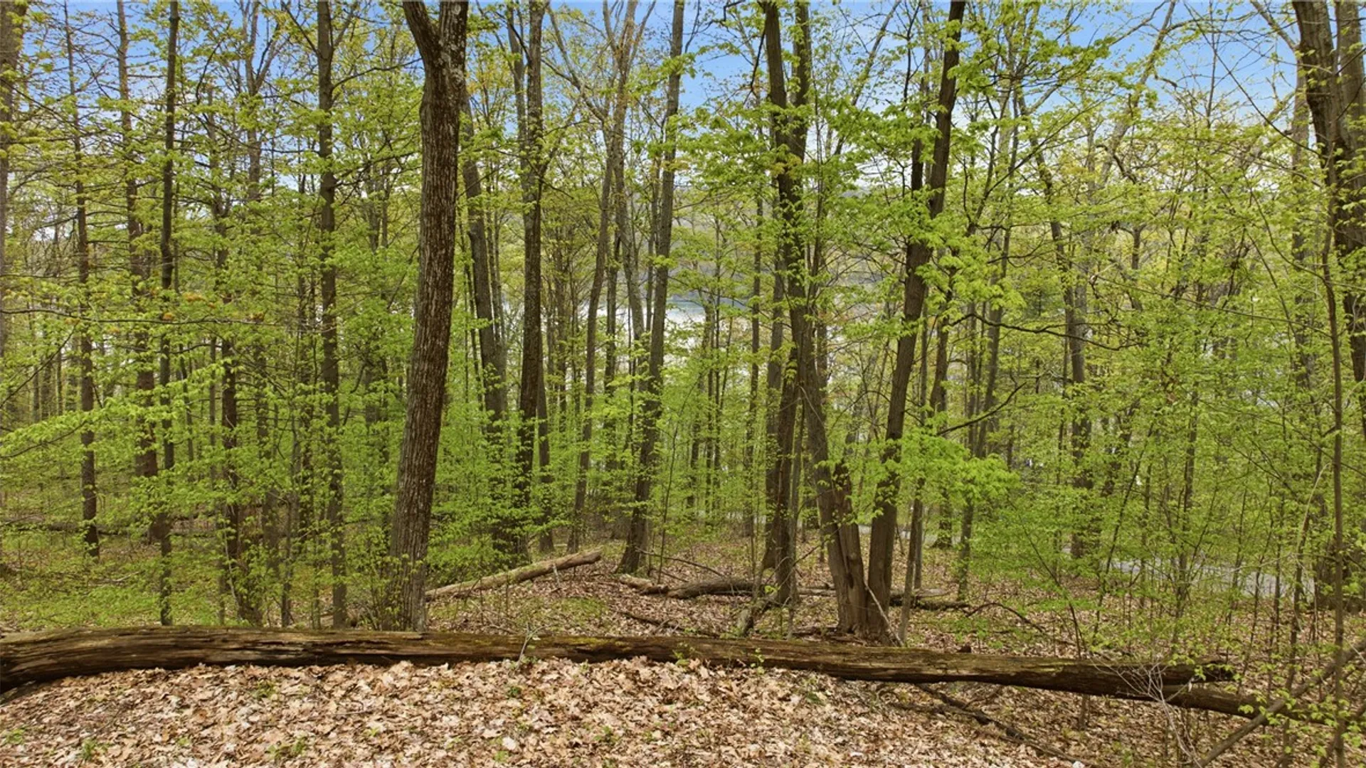 Property at Silvernail Road, Urbana, NY 14840 4