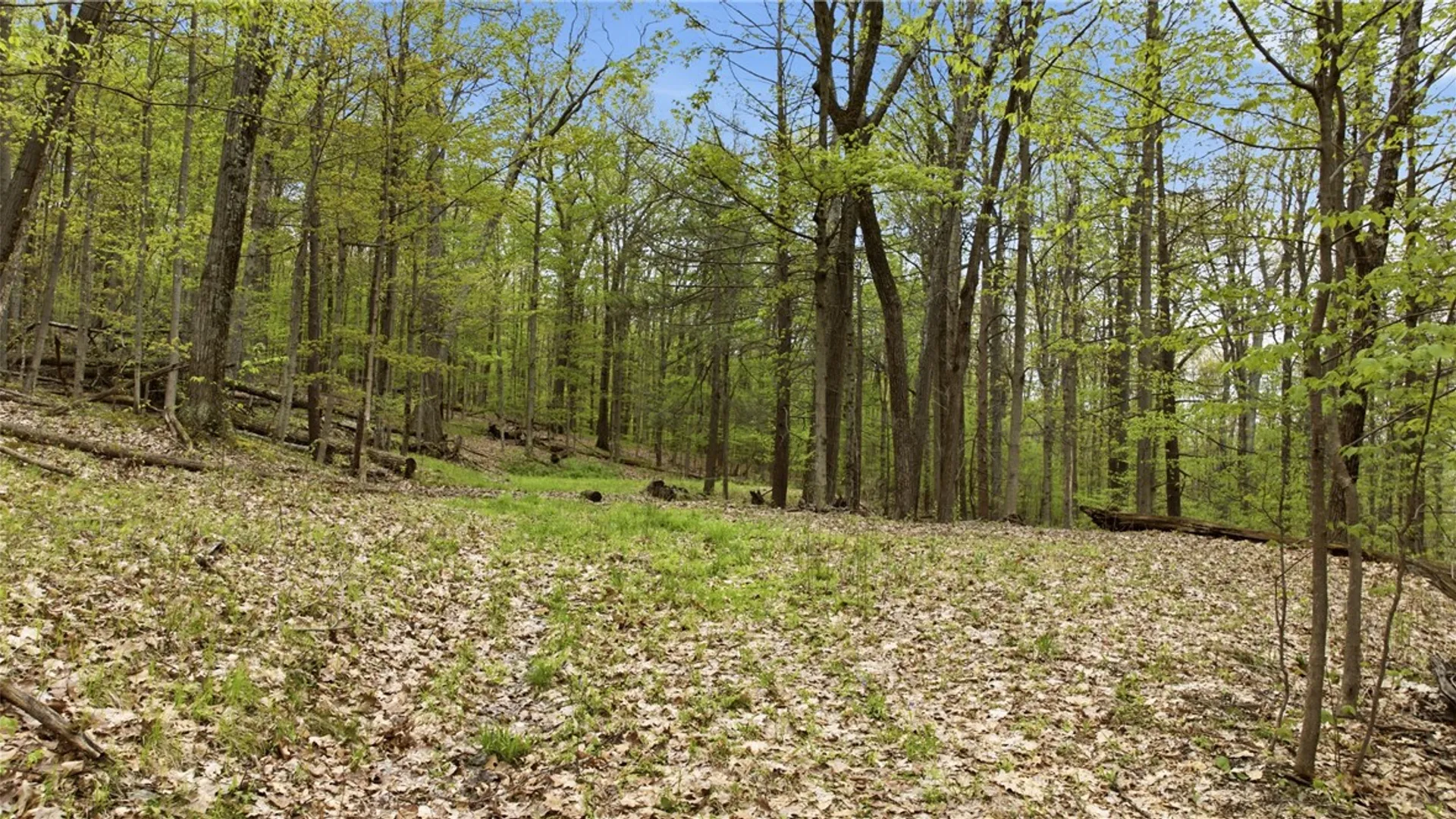 Property at Silvernail Road, Urbana, NY 14840 20