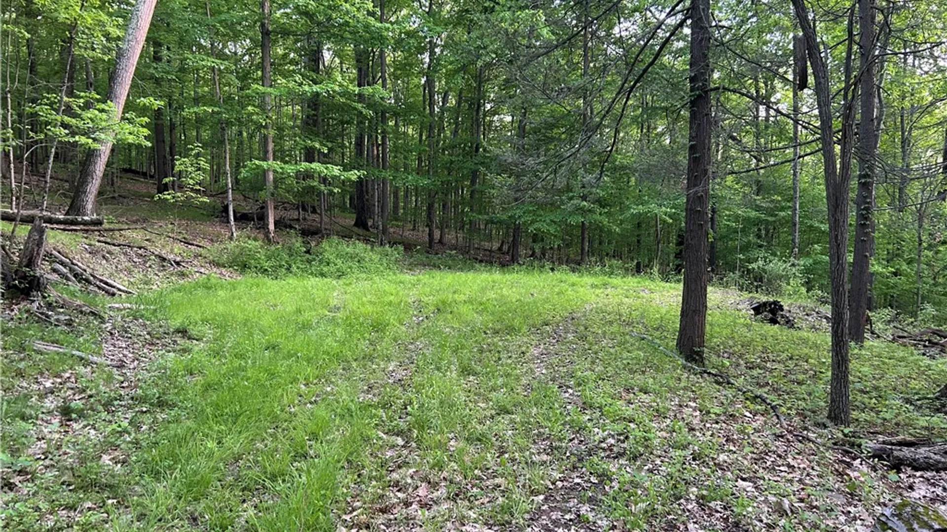 Property at Silvernail Road, Urbana, NY 14840 21