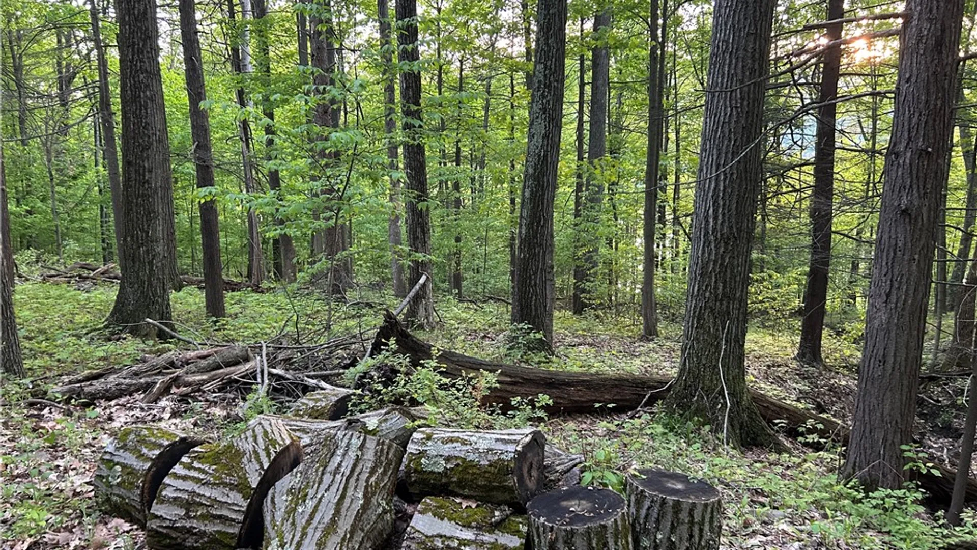 Property at Silvernail Road, Urbana, NY 14840 24