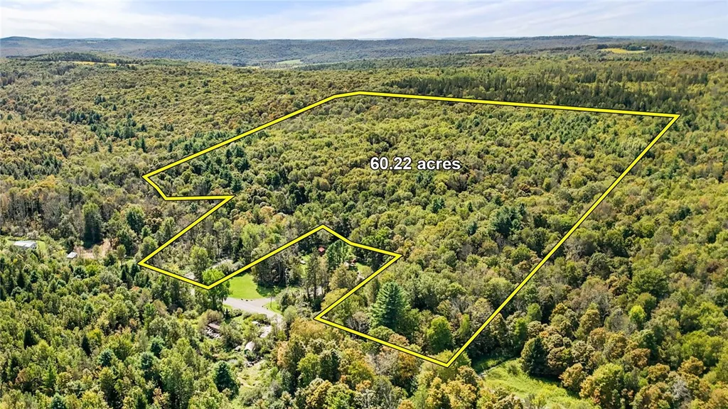 Property at 541 Blackman Hill Road, Caroline, NY 13736
