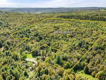 Property at 541 Blackman Hill Road, Caroline, NY 13736