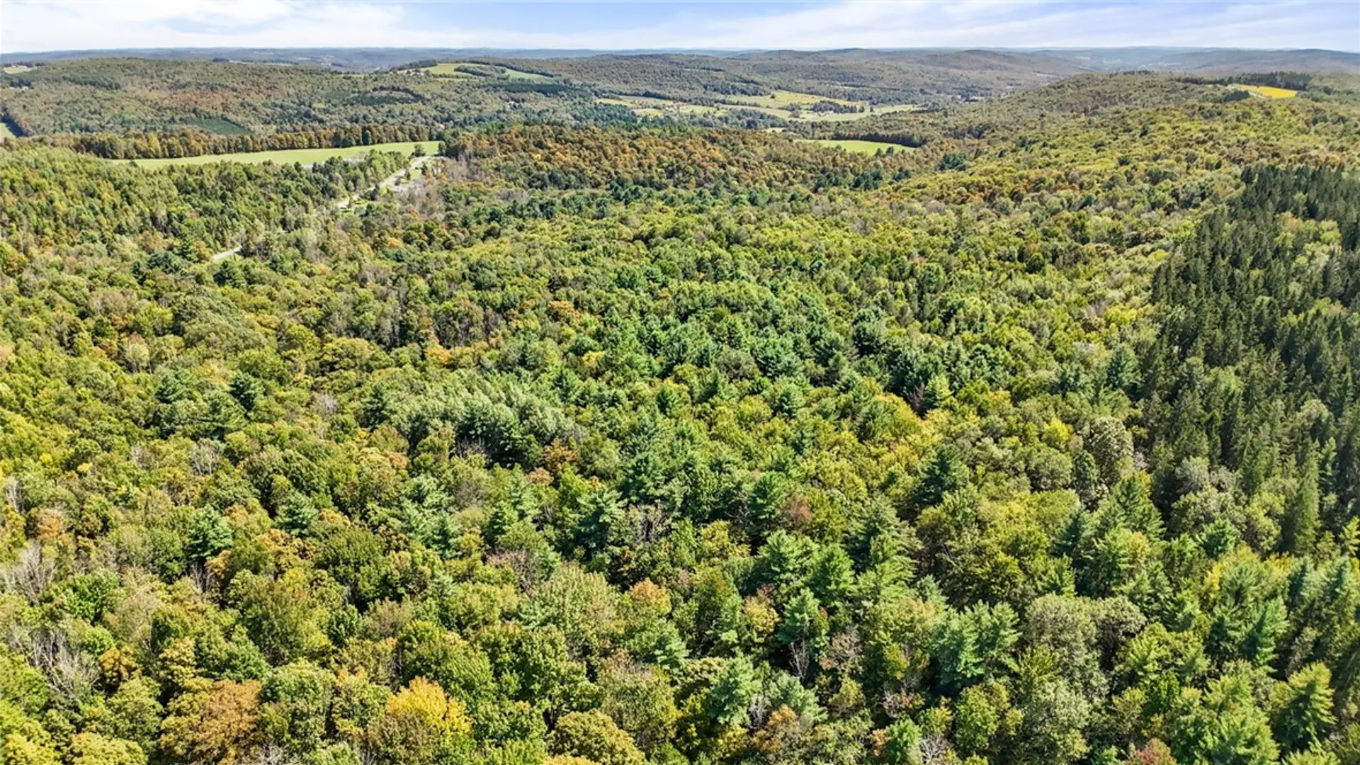 Property at 541 Blackman Hill Road, Caroline, NY 13736 10