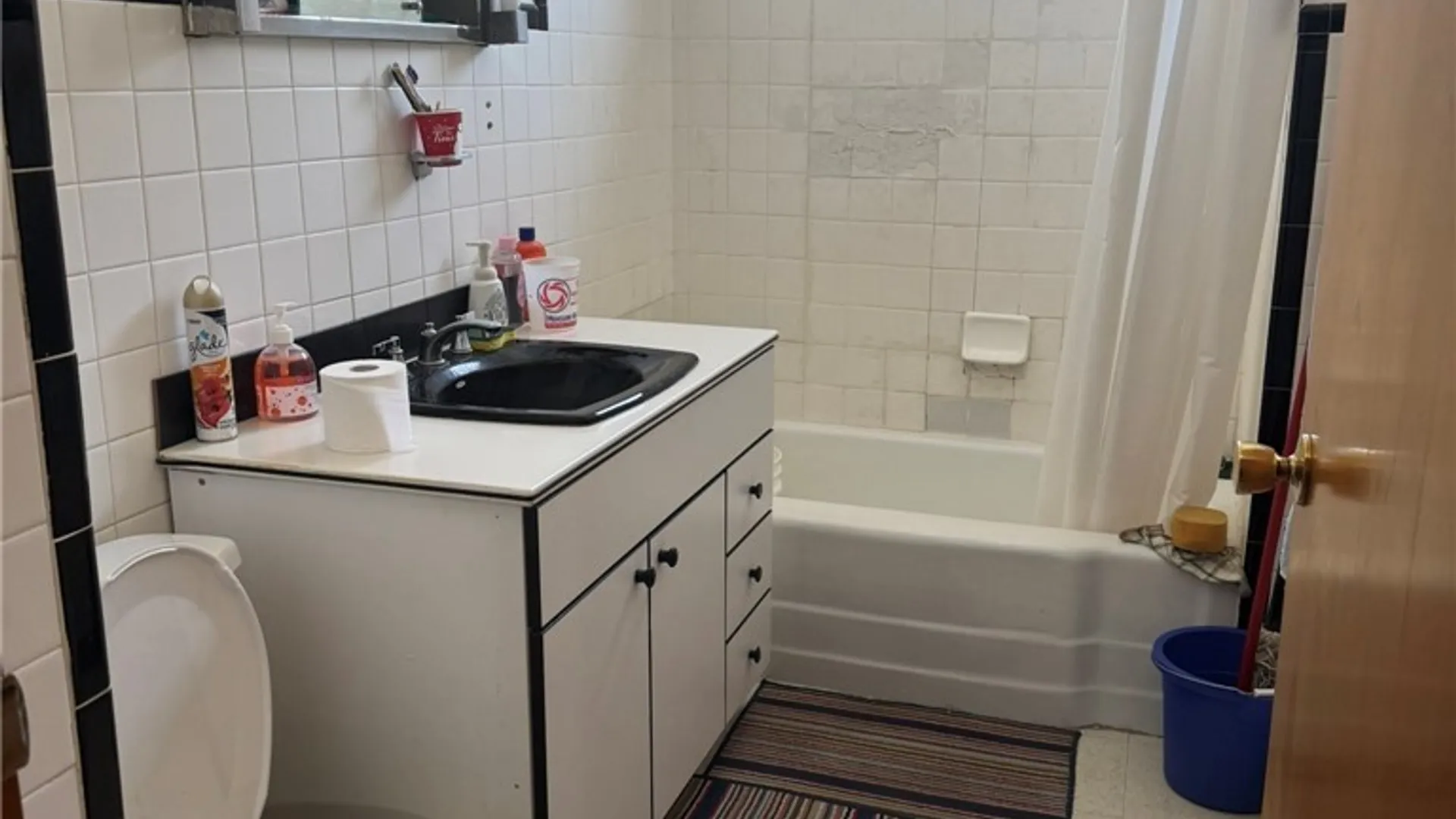 Property at 224 Gibson Street, Buffalo, NY 14212 16