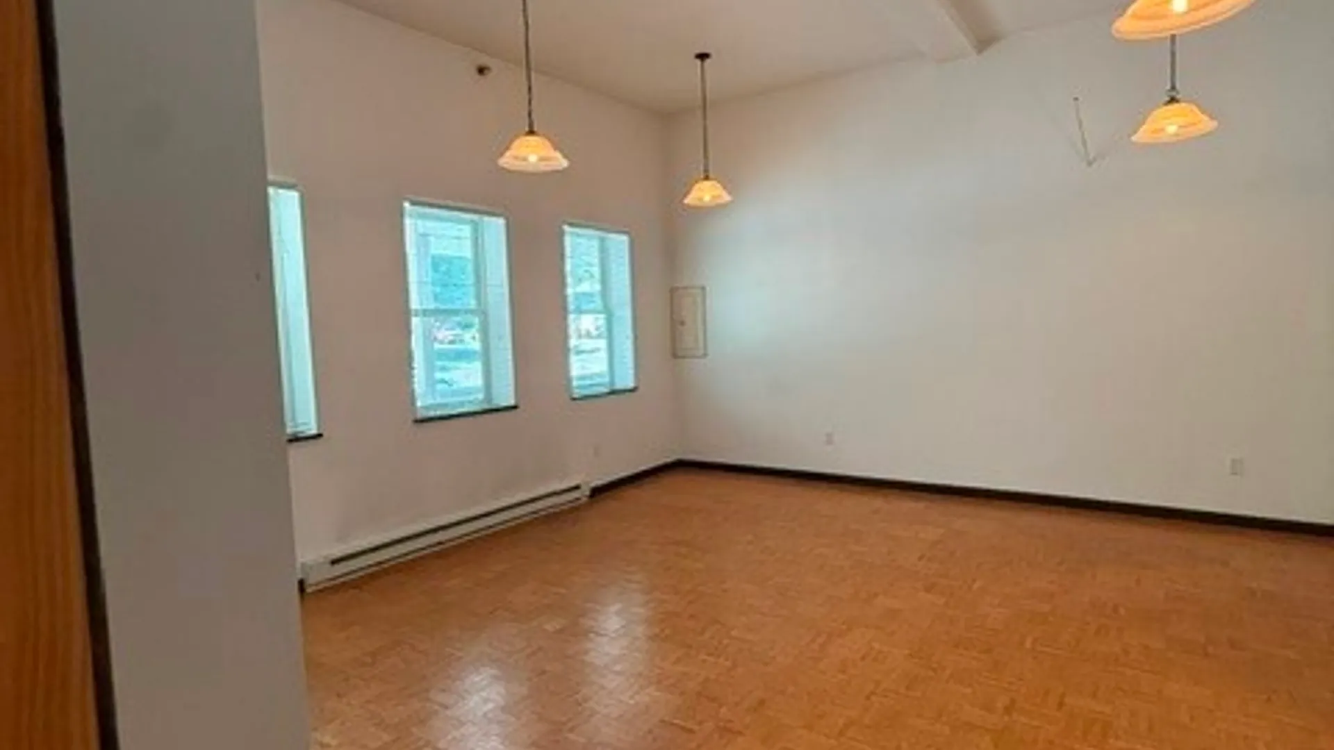 Property at 8385 Geneva Street, Covert, NY 14847 3