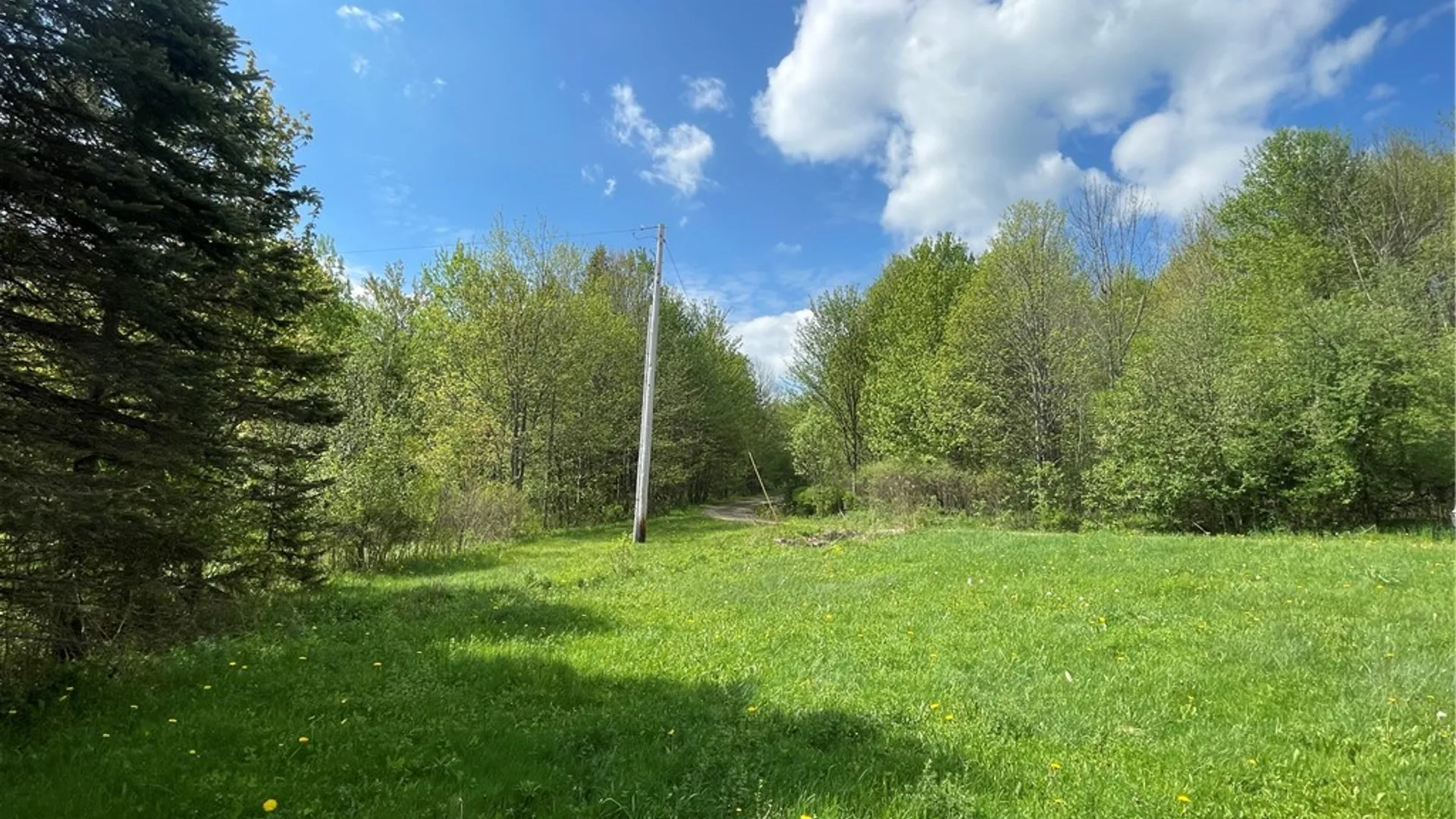 Property at 174 Peraglie Road, Jefferson, NY 12093 7