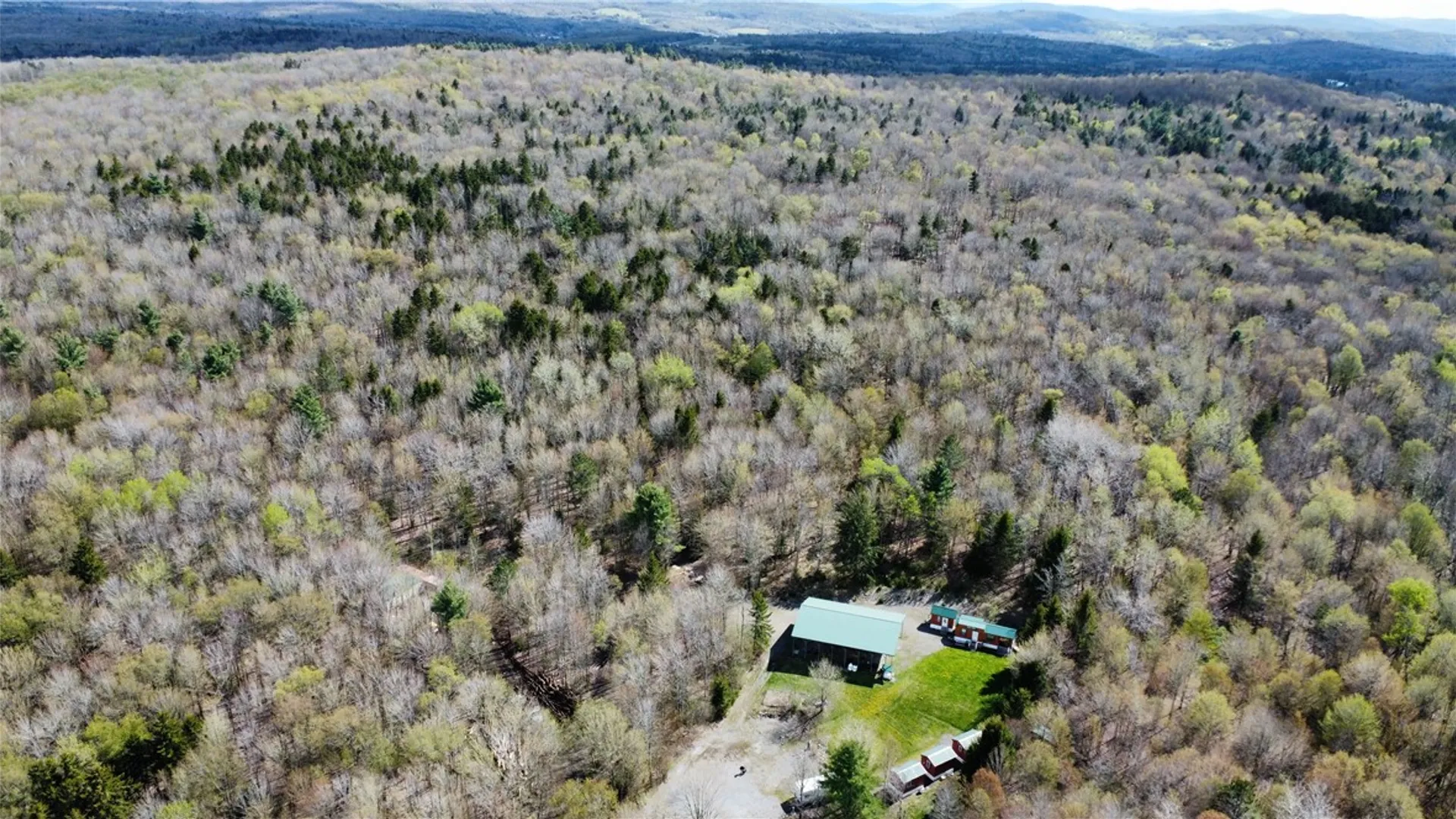 Property at 174 Peraglie Road, Jefferson, NY 12093 23