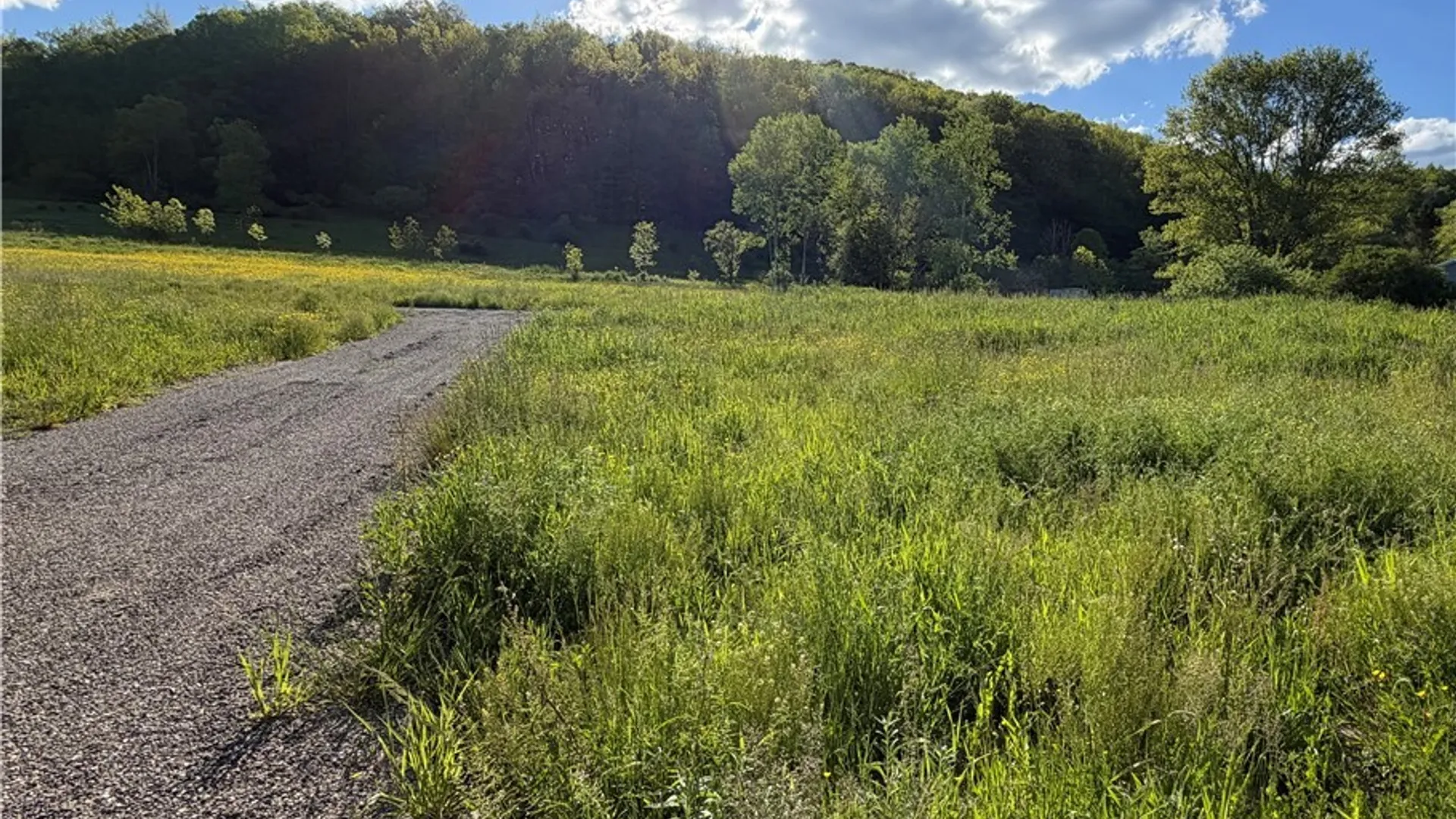 Property at 3231 W Five Mile Road, Allegany, NY 14706 2