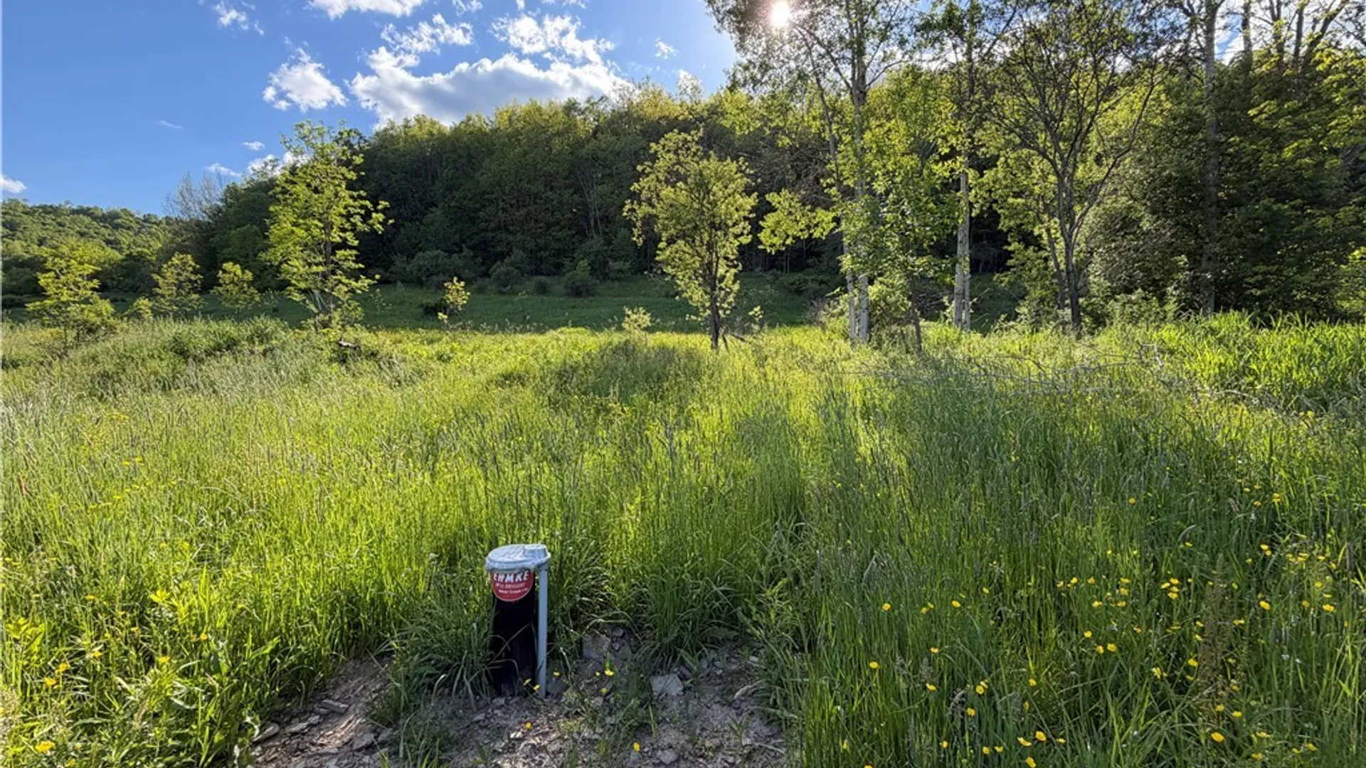Property at 3231 W Five Mile Road, Allegany, NY 14706 8
