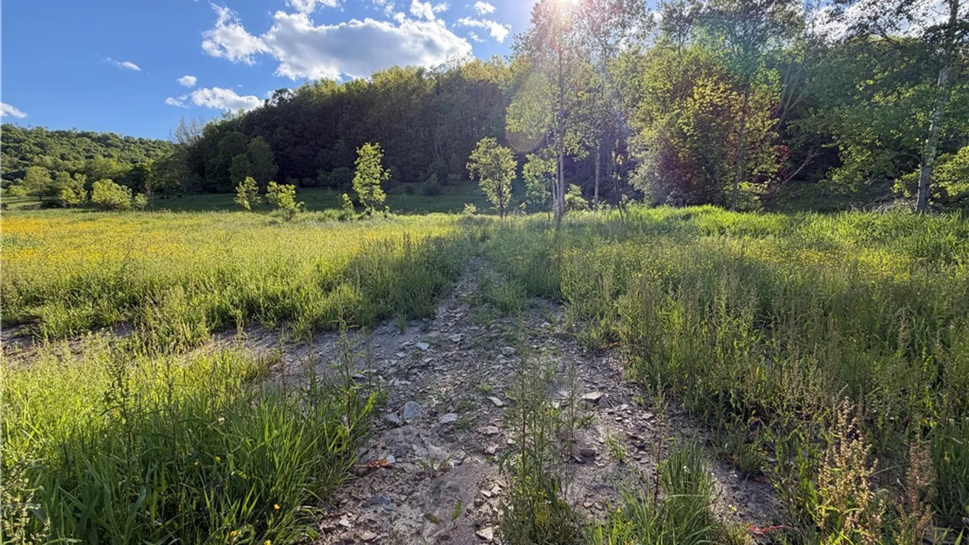 Property at 3231 W Five Mile Road, Allegany, NY 14706 10