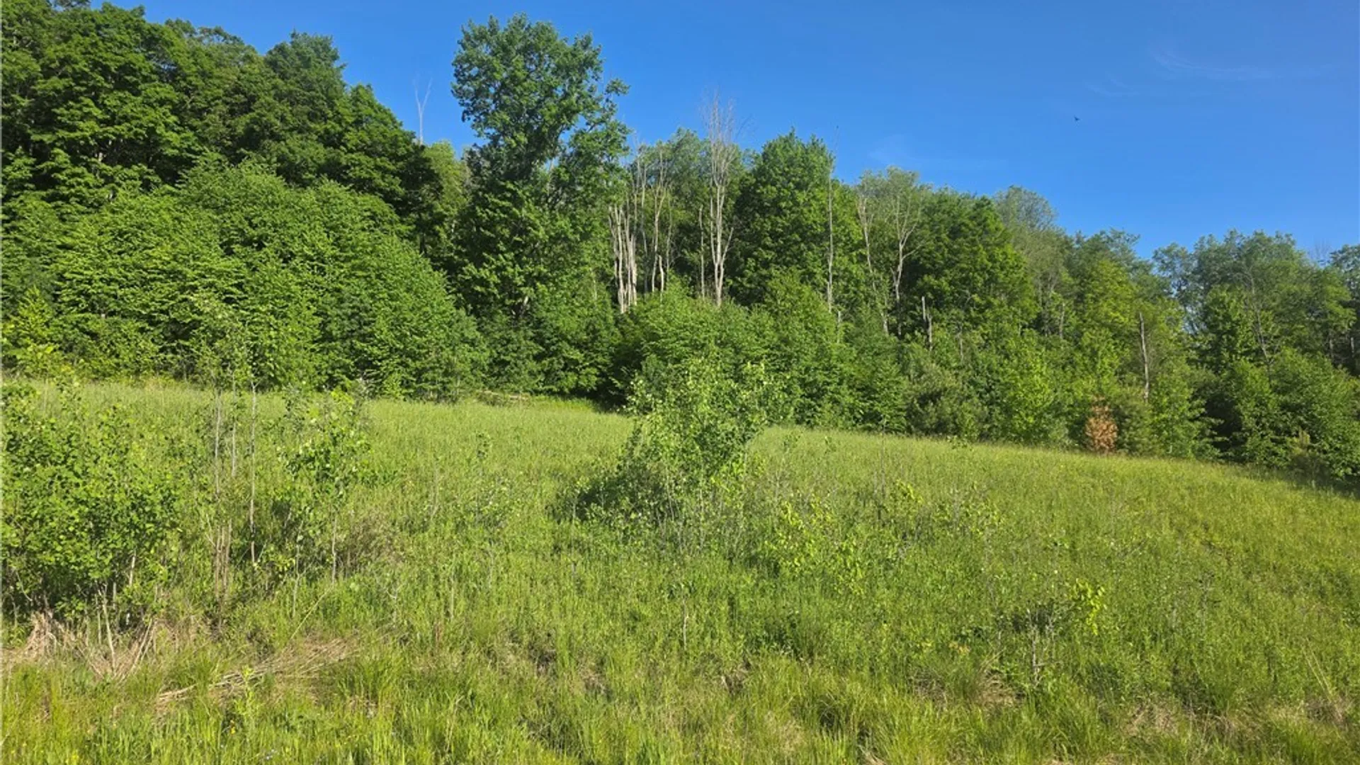 Property at Lots 15A, 14, 13 , 12 , 9 CHELSEA LANE Avenue, Bradford City, PA 16701 3
