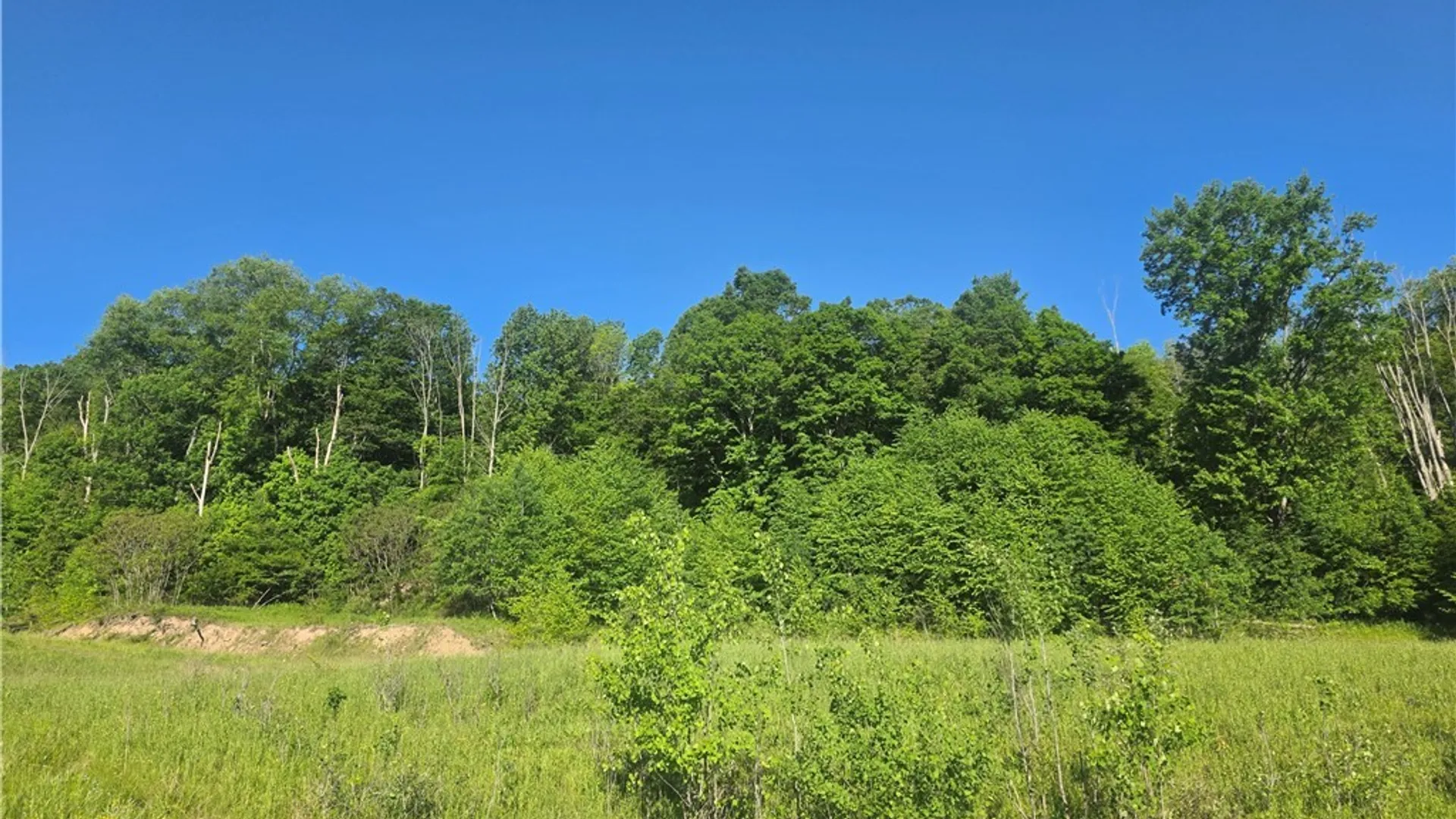Property at Lots 15A, 14, 13 , 12 , 9 CHELSEA LANE Avenue, Bradford City, PA 16701 4